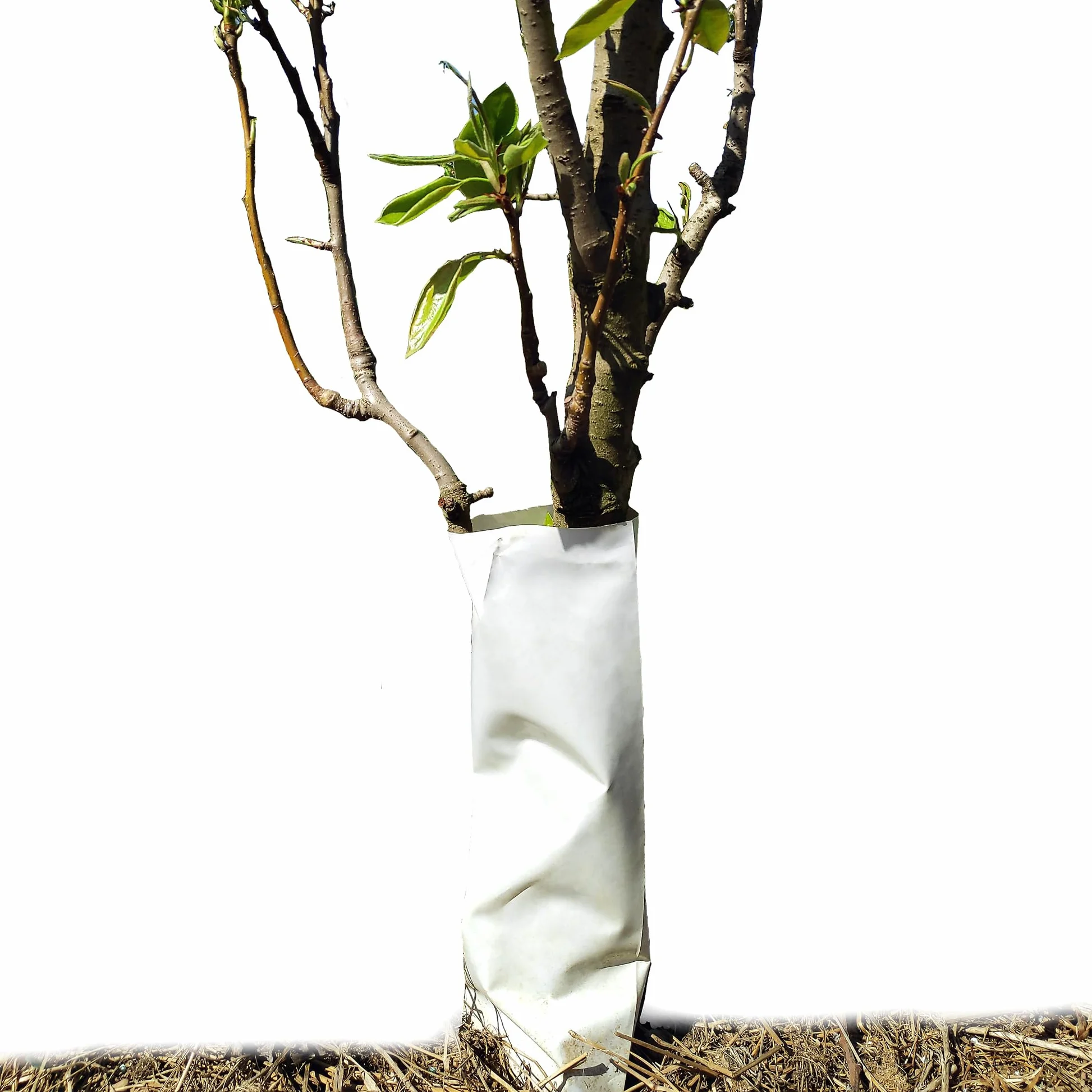 Tubo Flexible de Plástico Protector de Roedores para Troncos de Árboles 45cm Pack 100 Unidades Anti UV Blanco