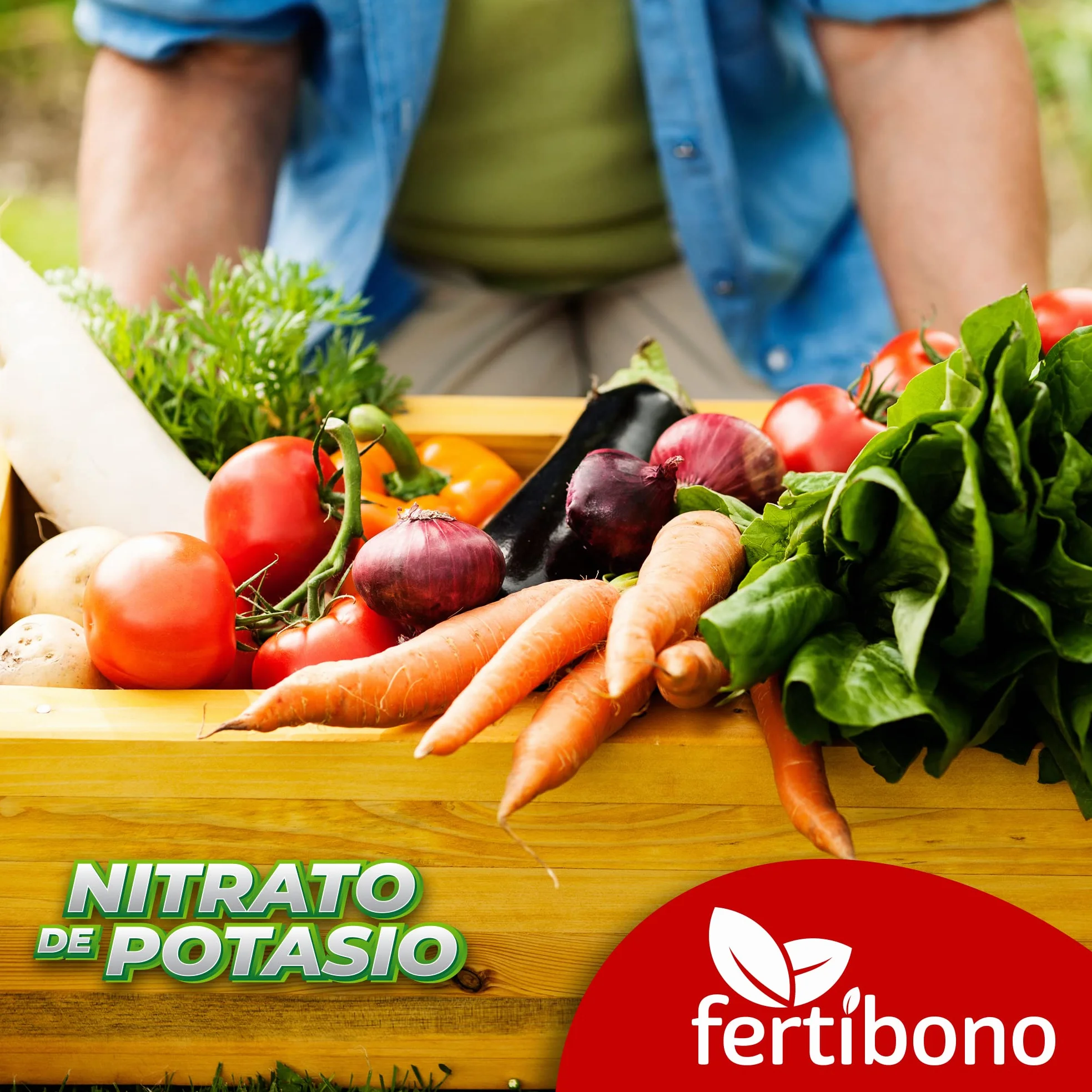 FERTIBONO, Nitrato de potasio,Puro (KNO3) 13-00-46, Huerto, Tomates, Melones,Frutales, Arboles (2,5.0)