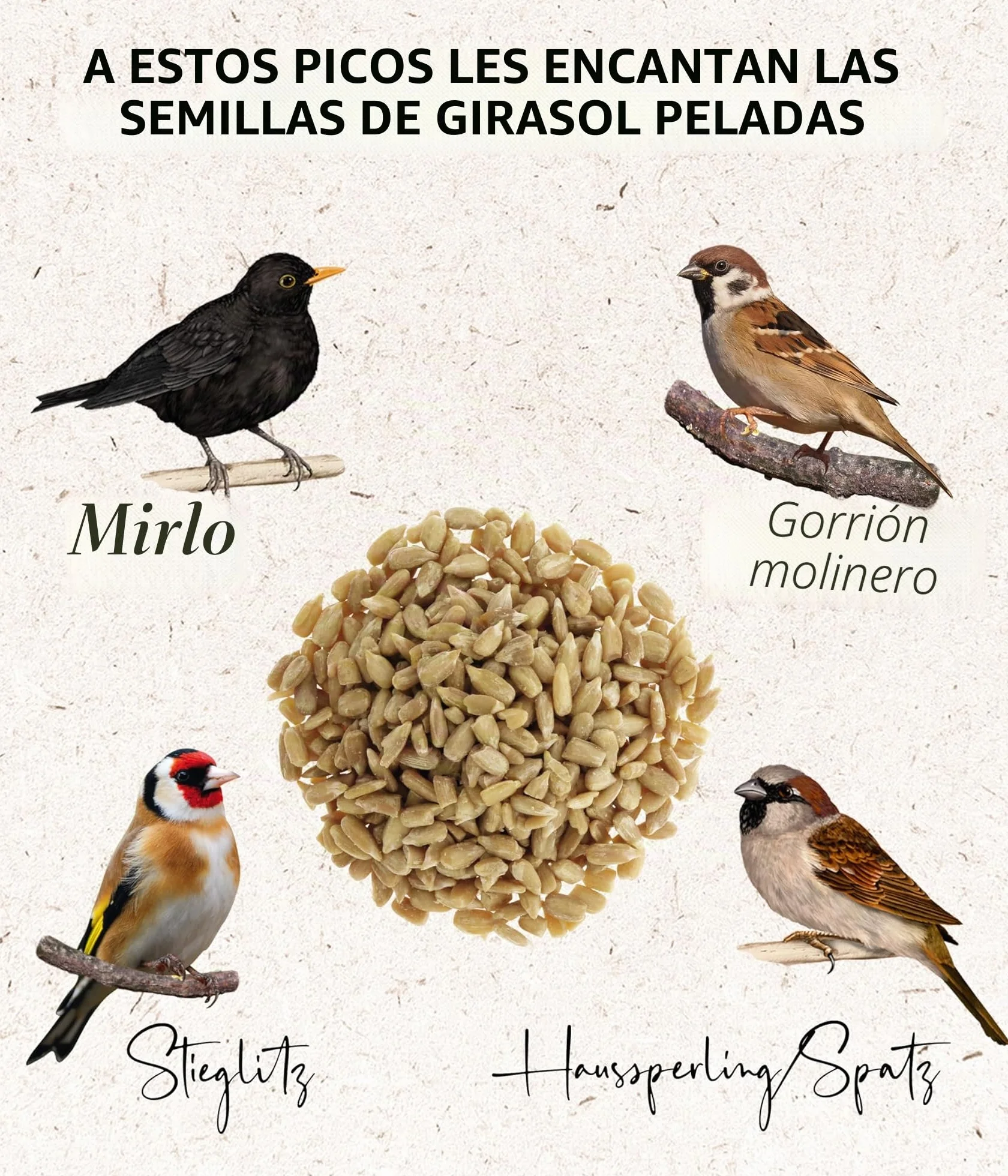 Dehner Natura Premium - Comida para Aves Silvestres sin cáscara, para Todo el año, Rica en proteínas, Alta energía, alimento para Aves Silvestres, 1 kg