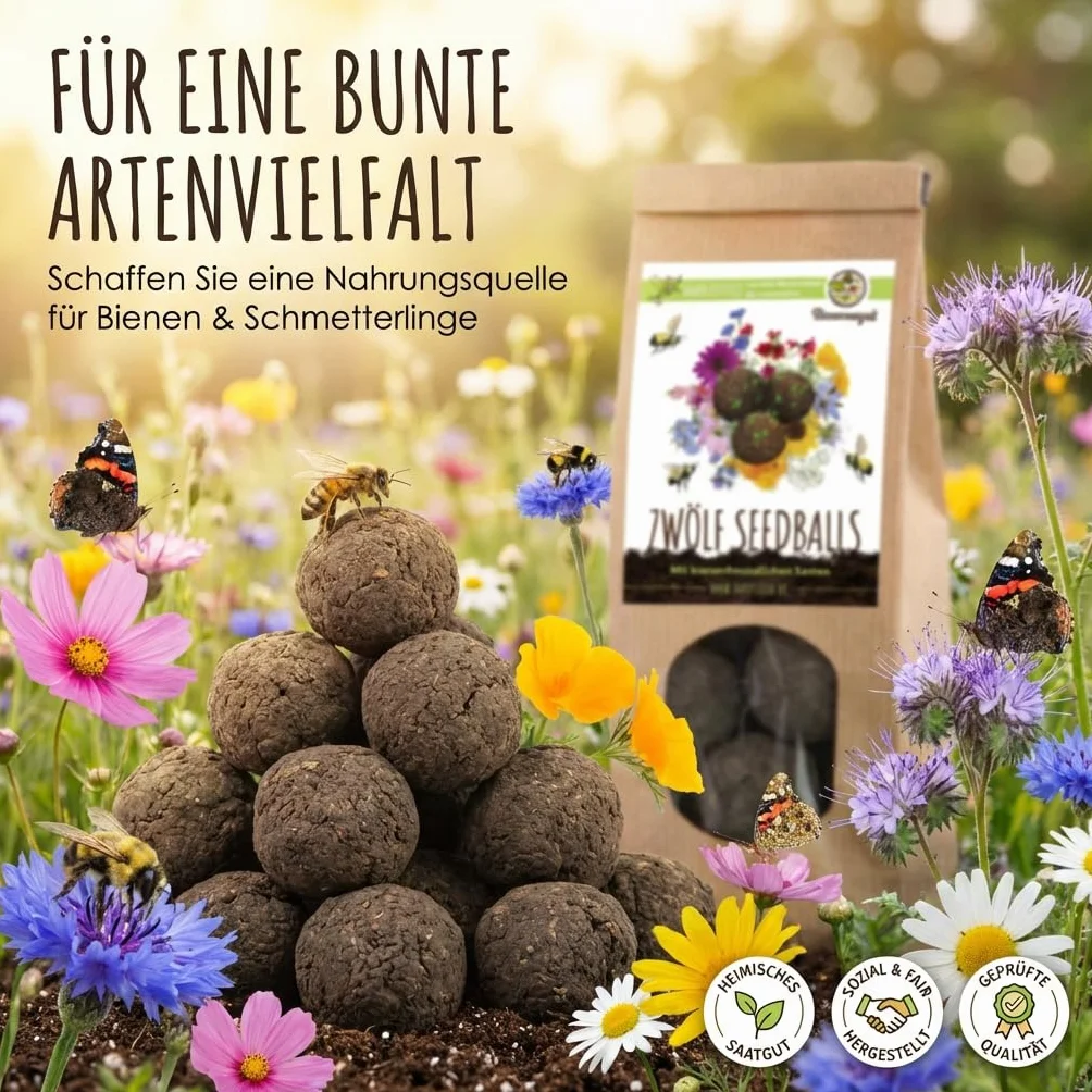 12x Bombas de semillas para un colorido pasto de abejas - Semillas de flores silvestres coloridas y ricas en néctar para abejas y mariposas