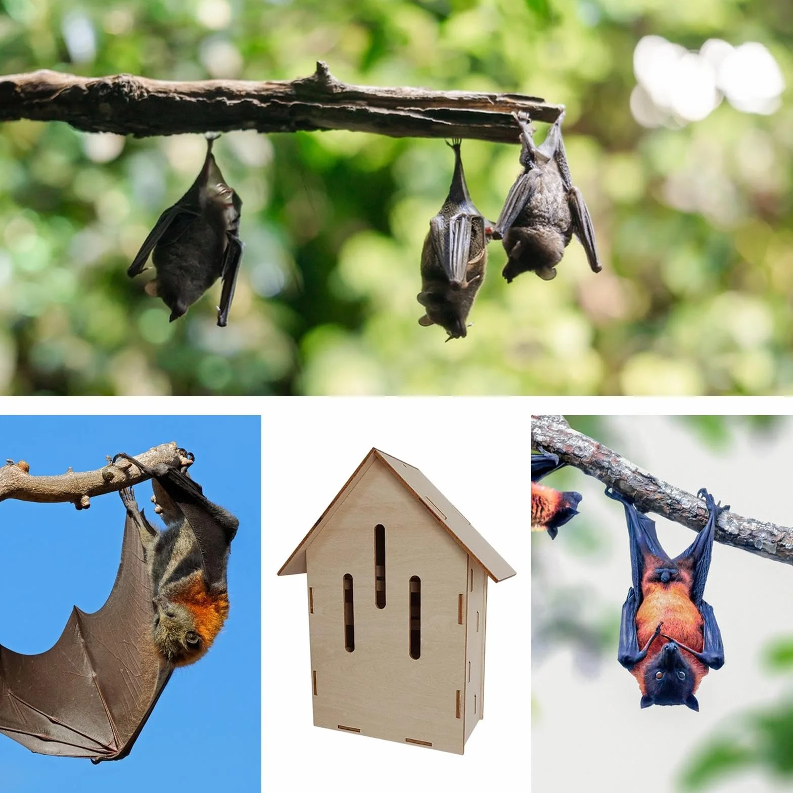 Casa Para Murciélagos: Hábitat De Animales Al Aire Libre De Madera Y Refugio Para Murciélagos En El Jardín | Modelos A 14,5x9x21,5cm C 12x5x16cm, Fácil Instalación Área Silenciosa Y Libre De Depredado