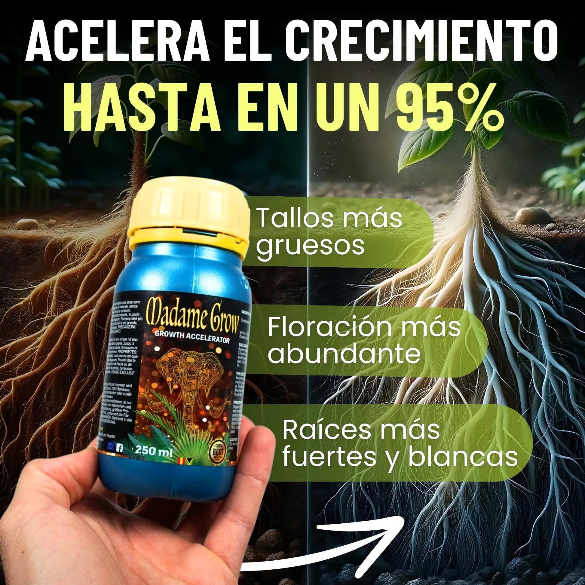 MADAME GROW abono plantas - fertilizante plantas - abono plantas verdes - fertilizante plantas verdes - sustrato plantas verdes - abono para plantas - fertilizante universal (GROWTH ACCELERATOR 1L)