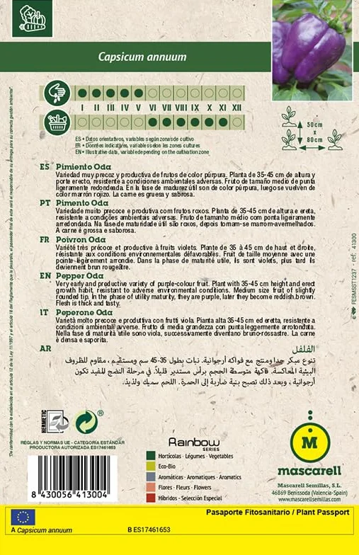 Mascarell Semillas, PIMIENTO, Semillas Huerto, PIMIENTO ODA, Crea tu Propio Huerto Urbano y Cultivo en Casa, Plantas Hortícolas, 0,3 Gramos