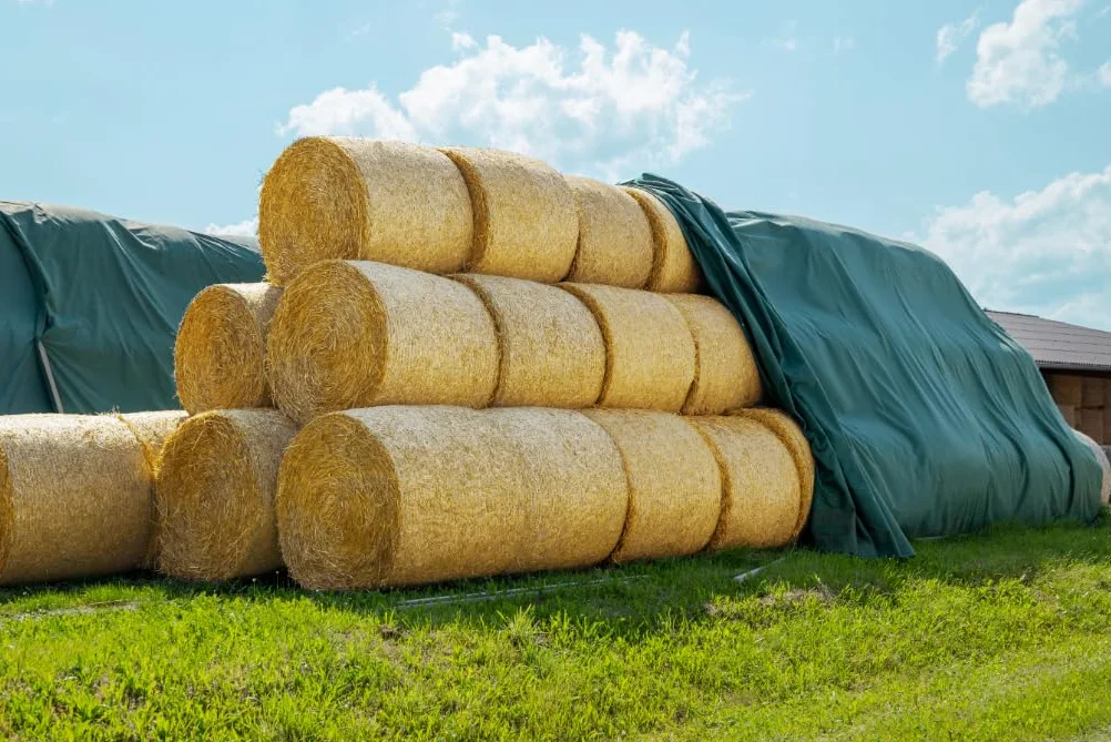 1 rollo de 18 x 25 m (= 450 m2) AGRIplus vellón de paja de vellón heno protector para balones de heno protección de heno protección vellón de protección contra heno
