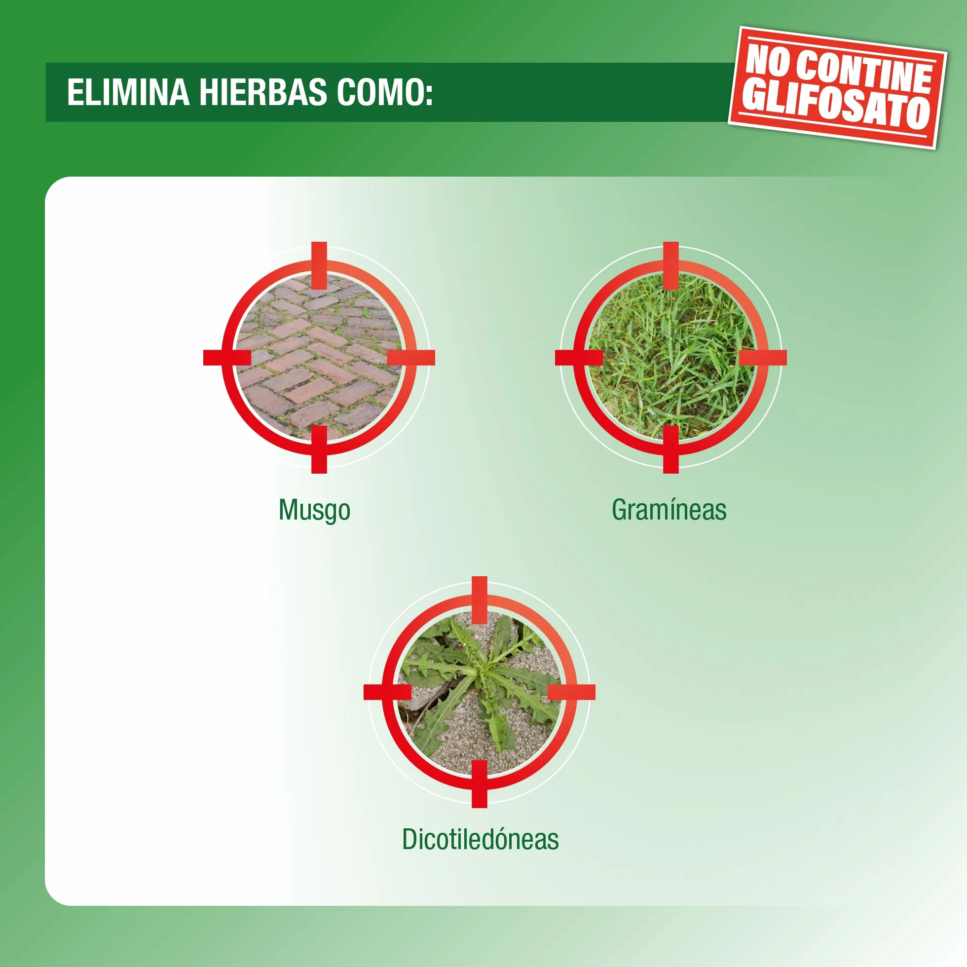 Protect Garden, Herbicida total de origen natural. Alternativa al glifosato de origen 100% natural. Acción rápida visible hasta 4 semanas. 480ml