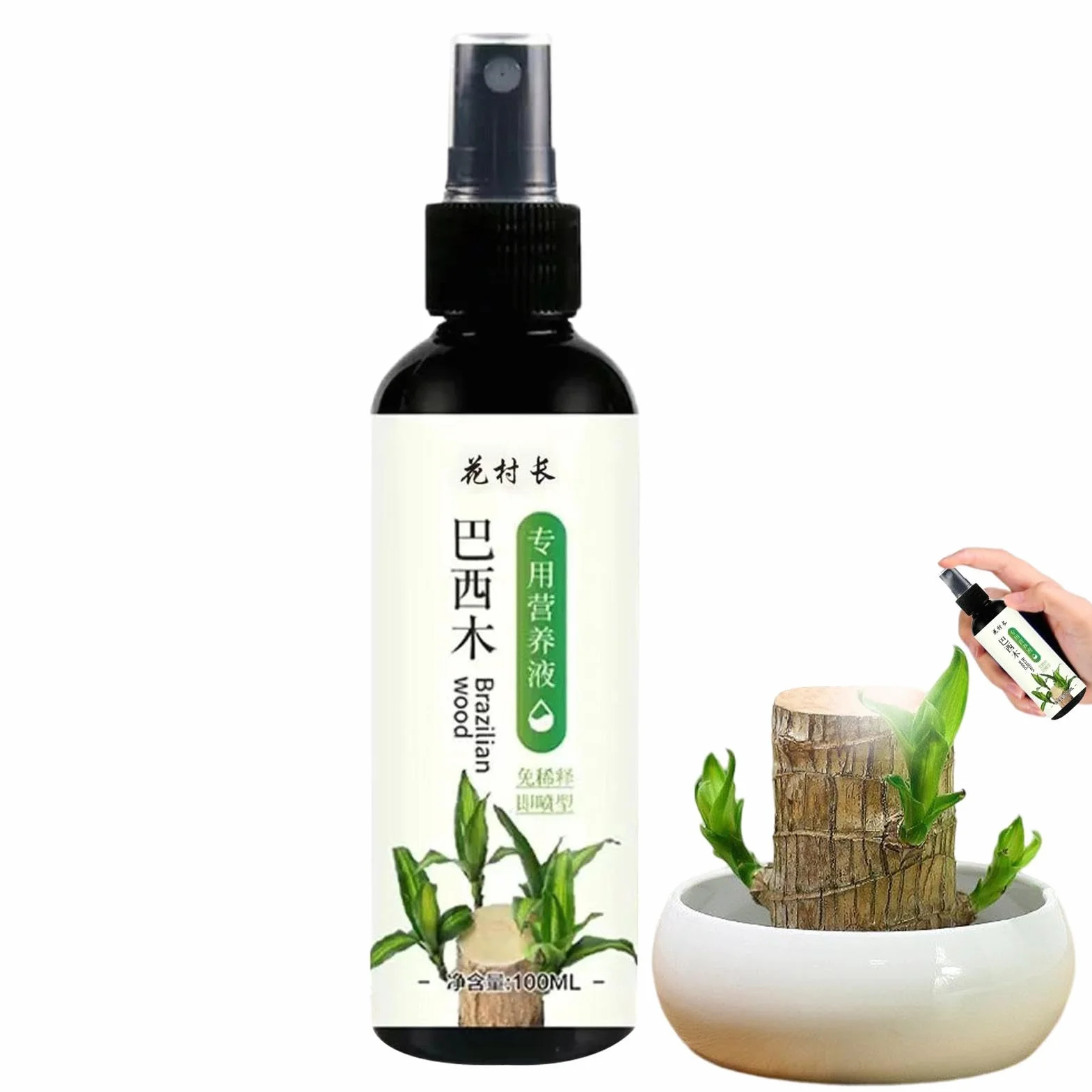 Alimento para plantas de madera brasileña, fertilizante líquido de bambú de 100ml, fertilizante para plantas de interior de madera brasileña de la suerte, fertilizante líquido para plantas de interior