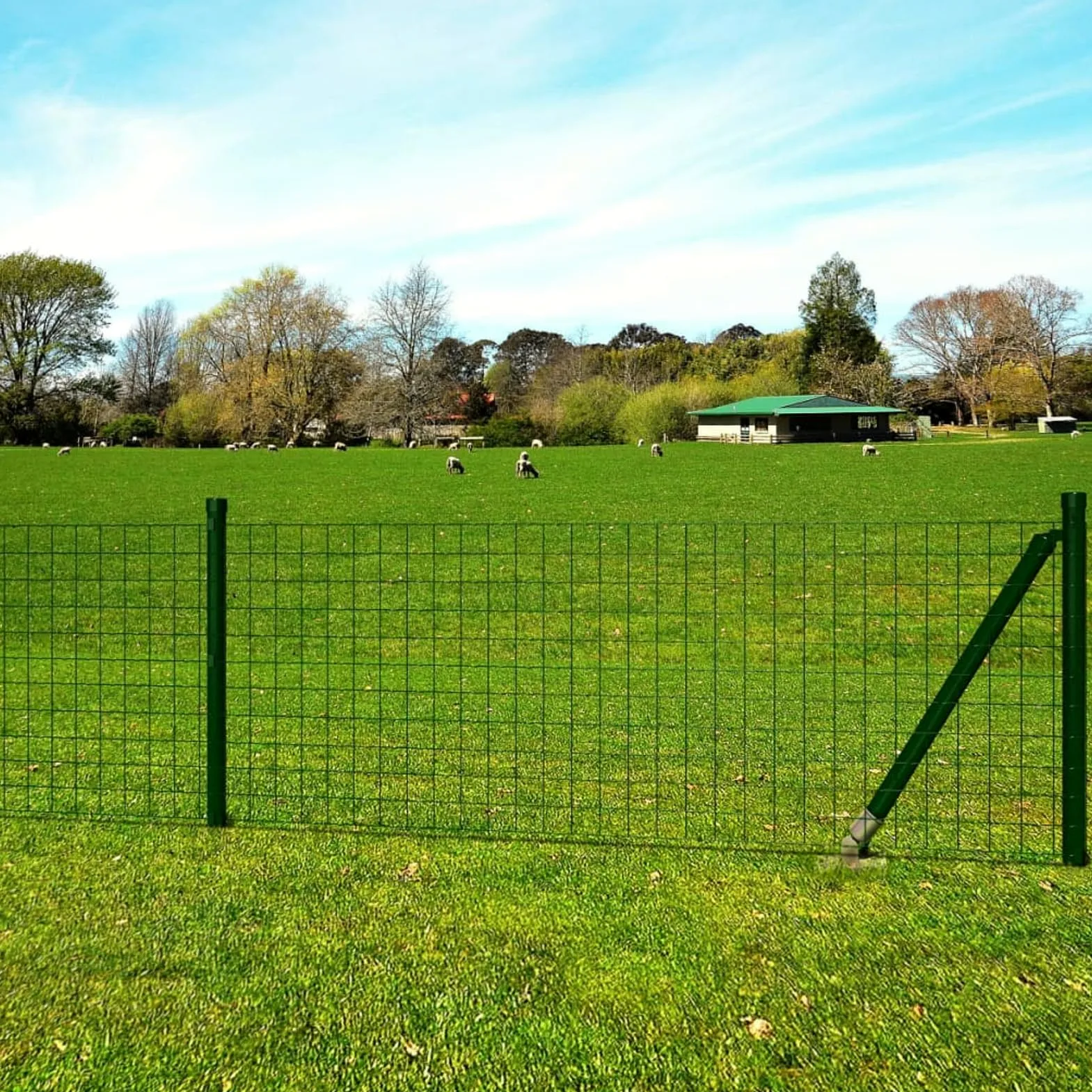 Euro Fence - Cerca de acero de 25 x 1,2 m, tela verde para gallinas, alambre soldado, para valla de red de pájaros, malla de conejo, valla de serpiente, malla de aves de corral, malla de jaula