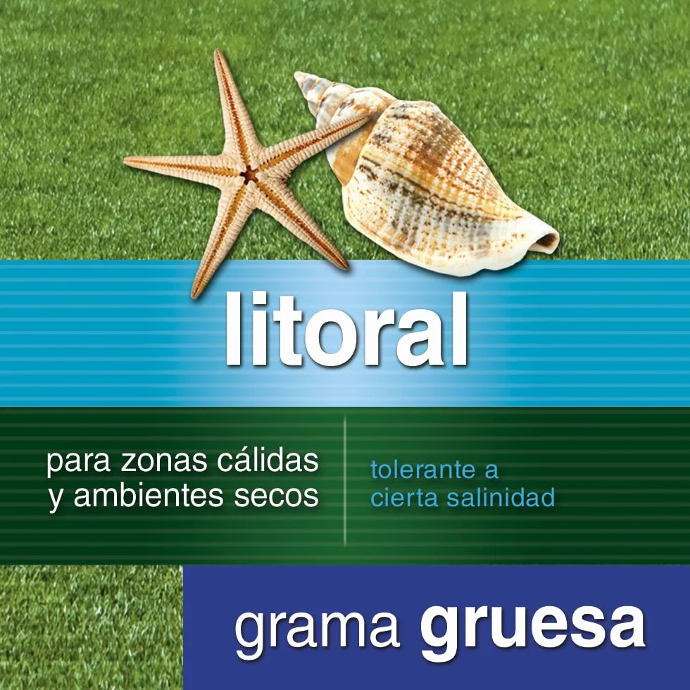 Flower - Semillas Césped Litoral Grama Gruesa | Resistente Zonas Cálidas y Secas | Tolerante Salinidad | Cubre Hasta 35 m2 | Compo Tierra Universal, 20.4x7.5x31 cm, Semilla