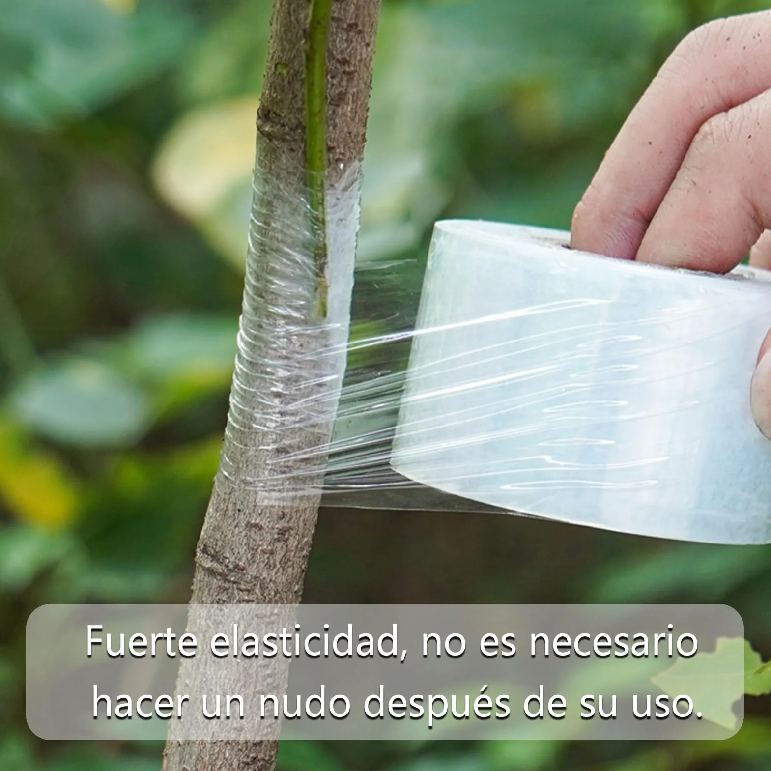 3 Rollos de Cinta de Injerto de Transparente Estirable, Autoadhesiva para Jardinería Película de Injerto, Ideal para Injertar Árboles Frutales, Flores y Uso en Viveros, 100 m