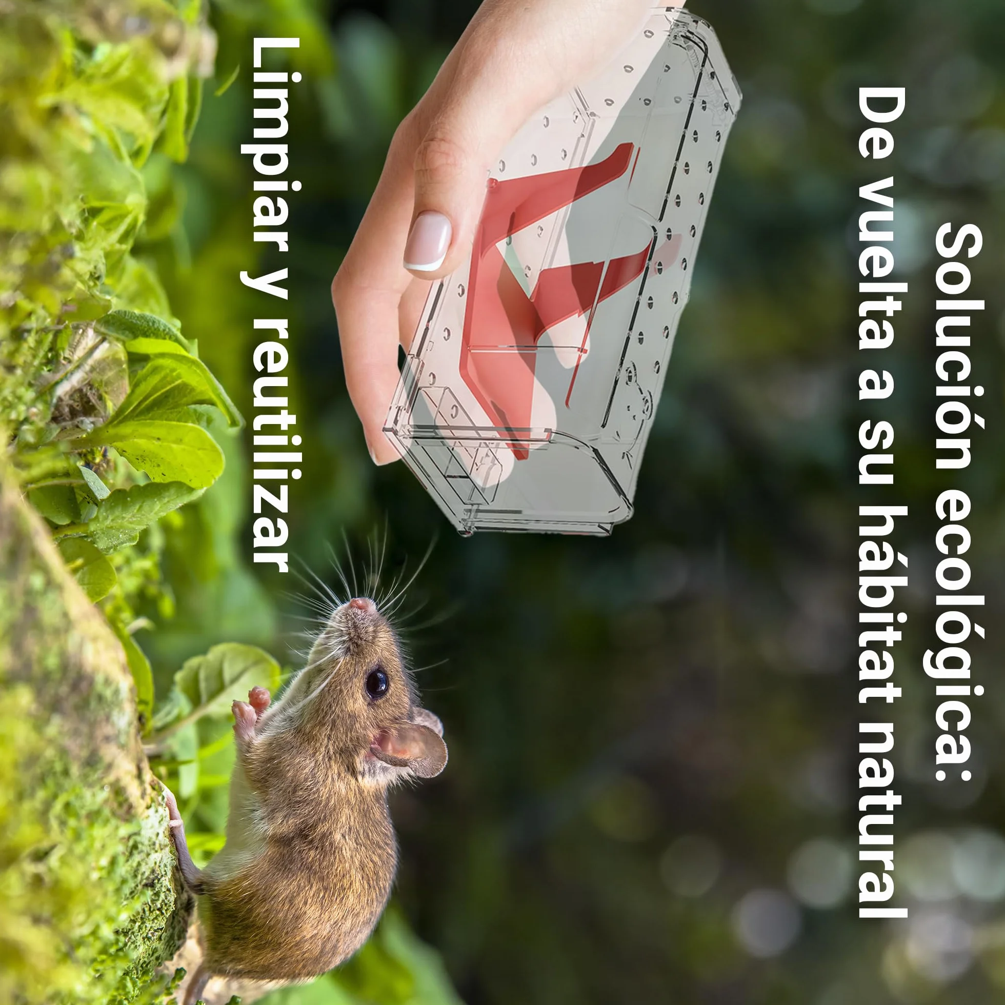 Roshield 4 X Trampas humanas para Ratones en Interiores y Exteriores, Trampa de plagas para atrapar Vivos. Amigable con Mascotas y niños. Trampa Reutilizable para roedores y Ratones.
