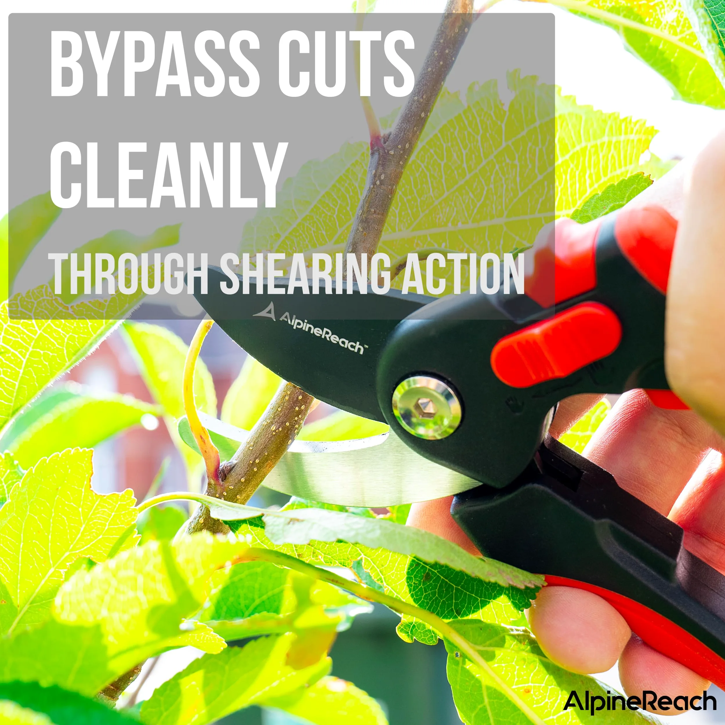 AlpineReach Juego de Tijeras de Podar con Bypass y Yunque para Jardinería, Mango Blando Ergonómico Ajustable para Manos Pequeñas y Grandes, Hoja Afilada de Acero con Alto Contenido de Carbono
