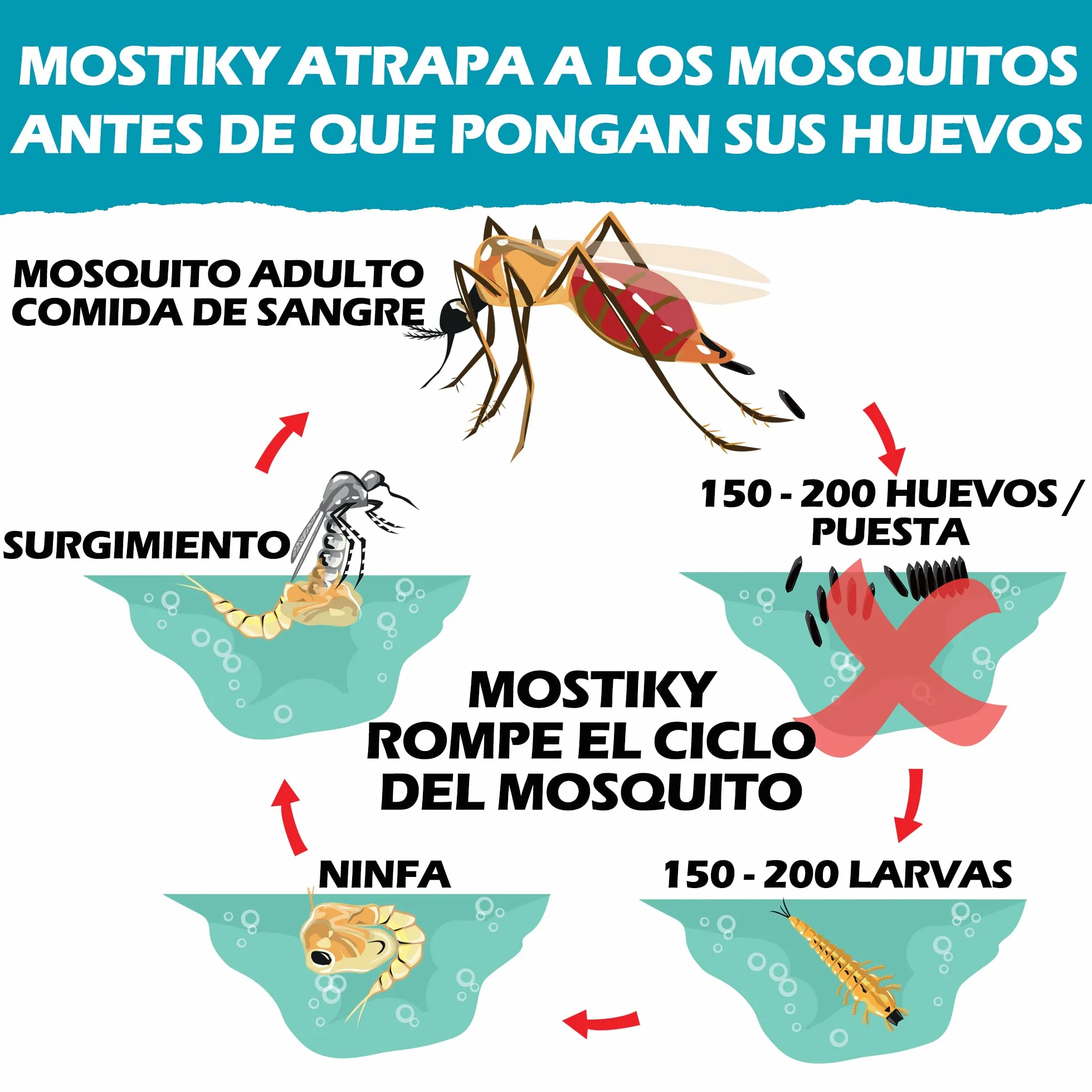 Mostiky: 30 Tarjetas Adhesivas compatibles con Biogents BG-GAT. Paquete de 30 Tarjetas Adhesivas para capturar Mosquitos Tigre Antes de Que pongan Sus Huevos.