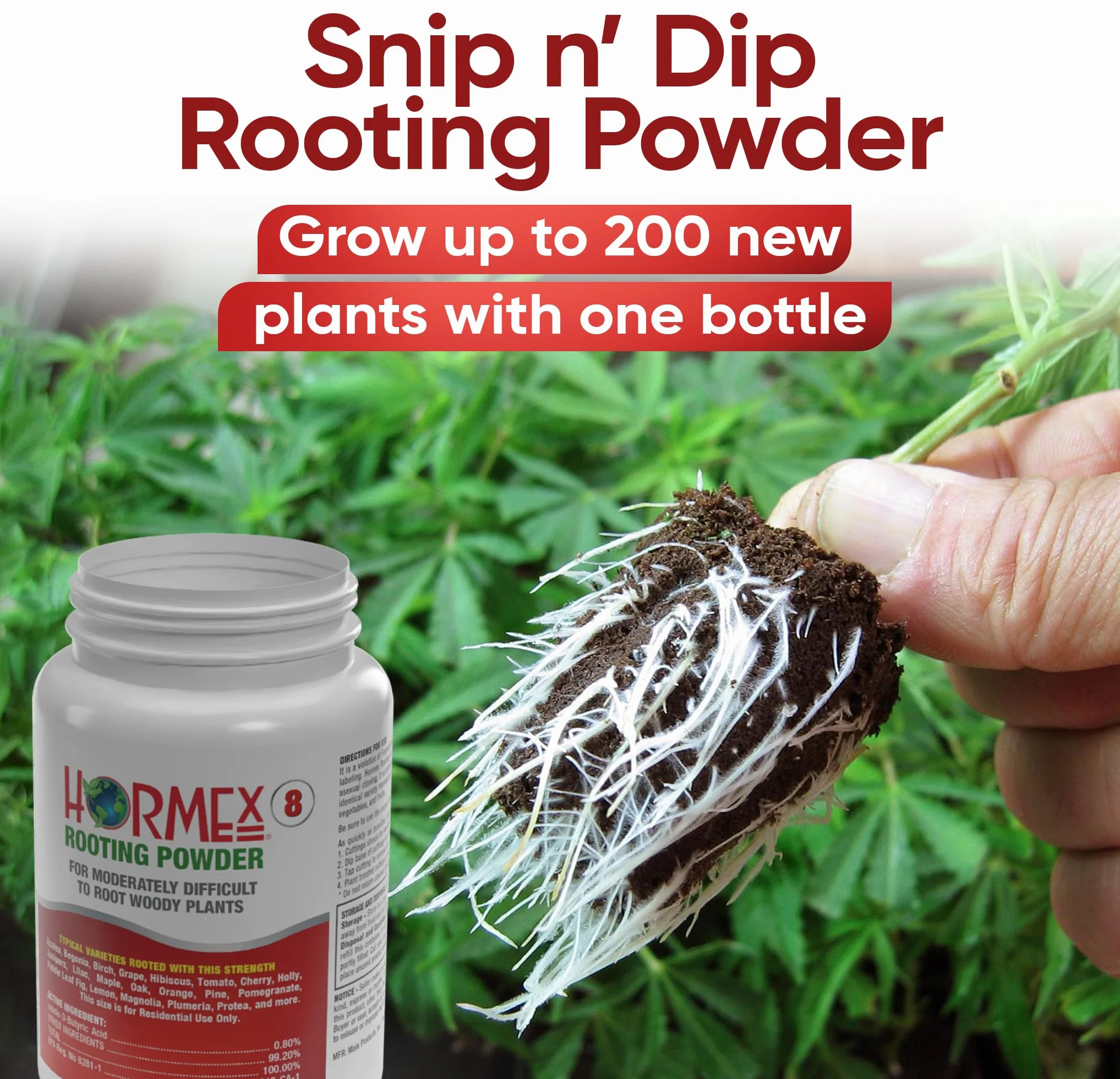 Hormex SNIP N Dip Rooting Polvo nº 8 – 3/4oz