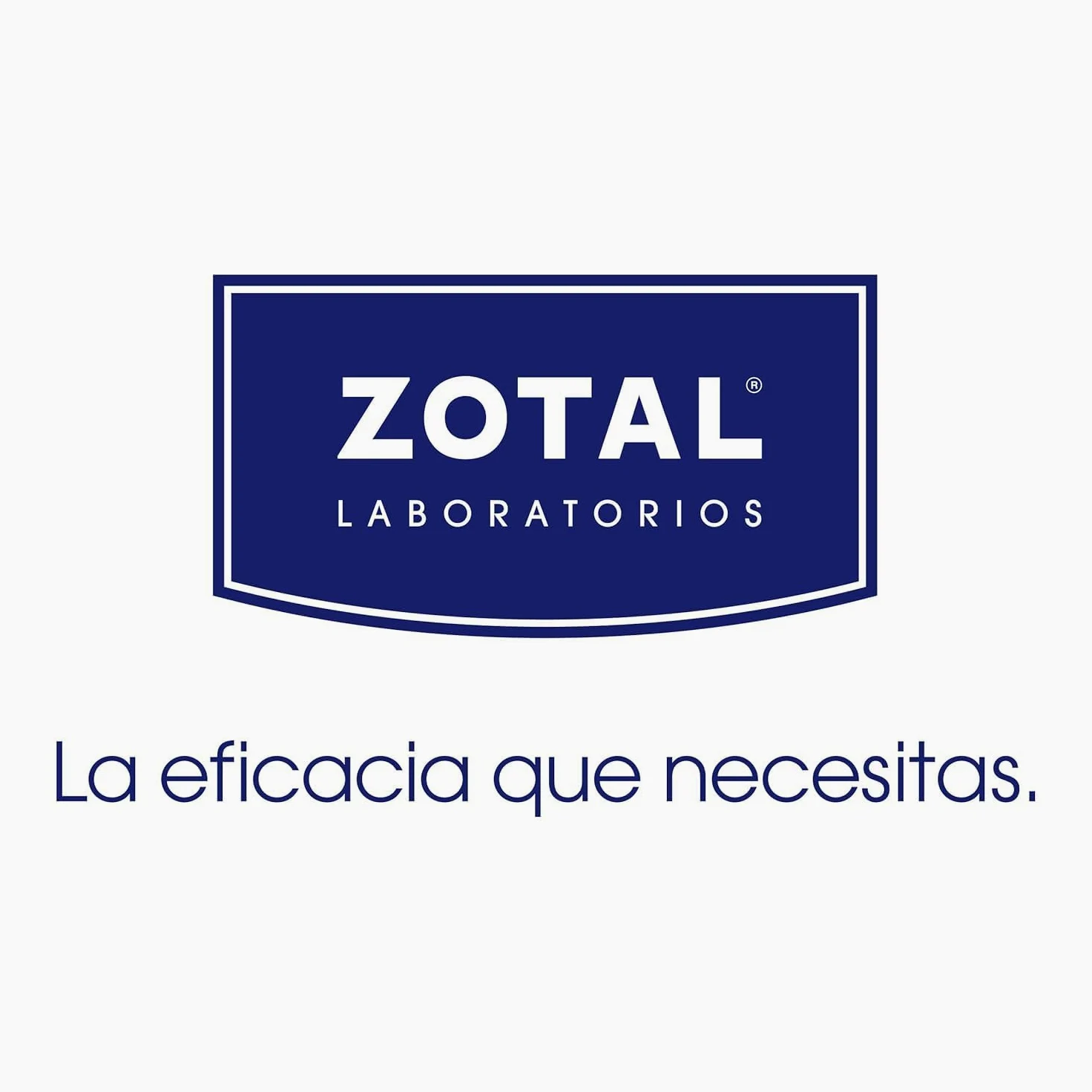 Spray Insecticida Moscas - Garrapatas - Pulgas – Control de Insectos Voladores y Rastreros | Deltasec RTU Plus 750 ml | Nueva Fórmula Reforzada | ARPON ZOTAL (Pack 6 Unidades (4500 ml))