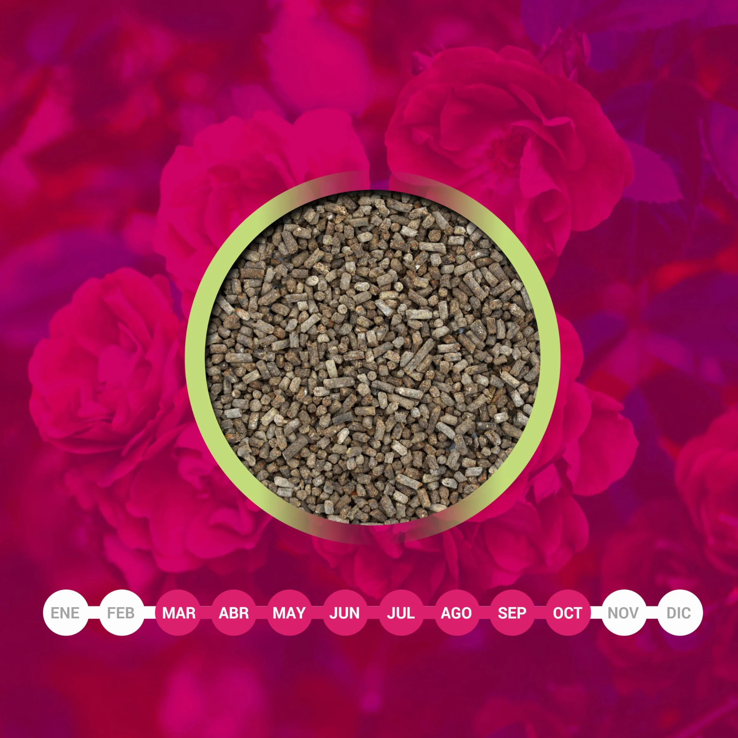 LERAVA® Abono rosales y plantas con flor - 2x800g con tapón dosificador - Crecimiento vigoroso y colores brillantes - fertilizante plantas de exterior o en maceta - abono orgánico 100% Made in Italy