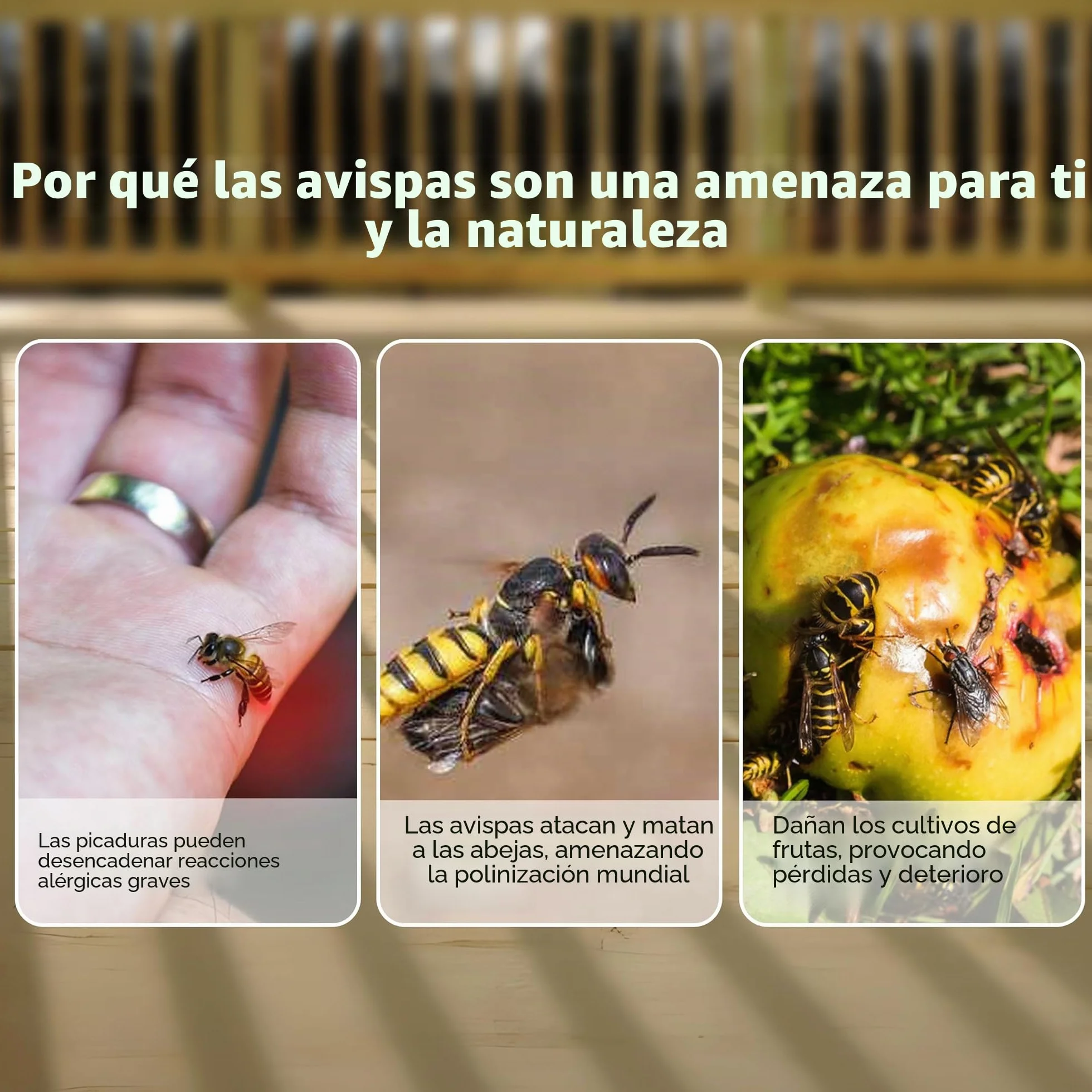 ASPECTEK Trampa para Avispas Trampa para Avispón, Abeja y Avispa Abejorro. 2 Unidades (Trampa de Abeja)