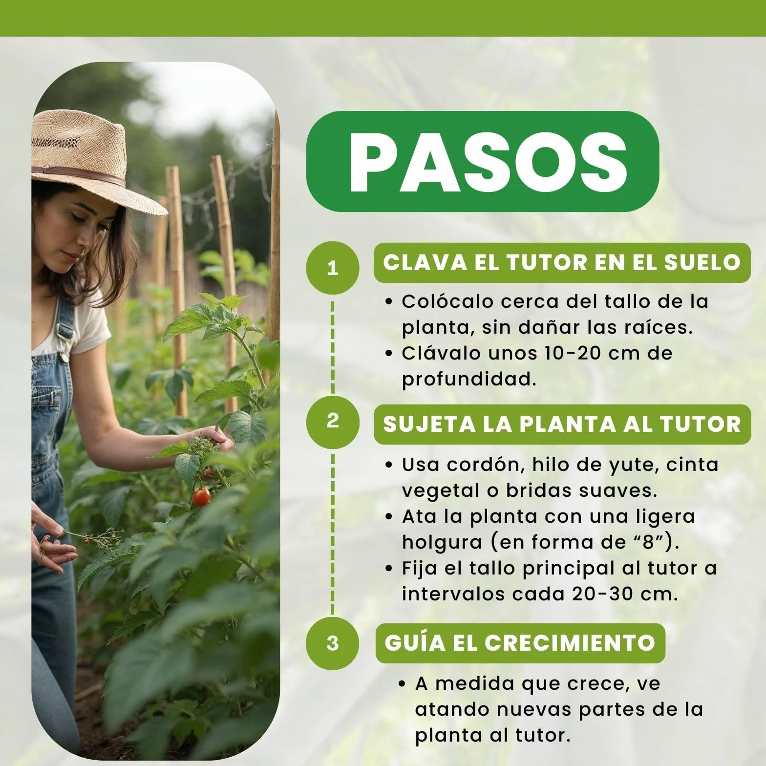 PLANTAWA Tutores de Bambú 90 cm Paquete 25 Unidades Ø 10-12 mm | Soporte para Plantas, Hortalizas, Tomates y Tomateras | Tutores para Plantas de Instalación Fácil. Cañas de bambú Resistentes
