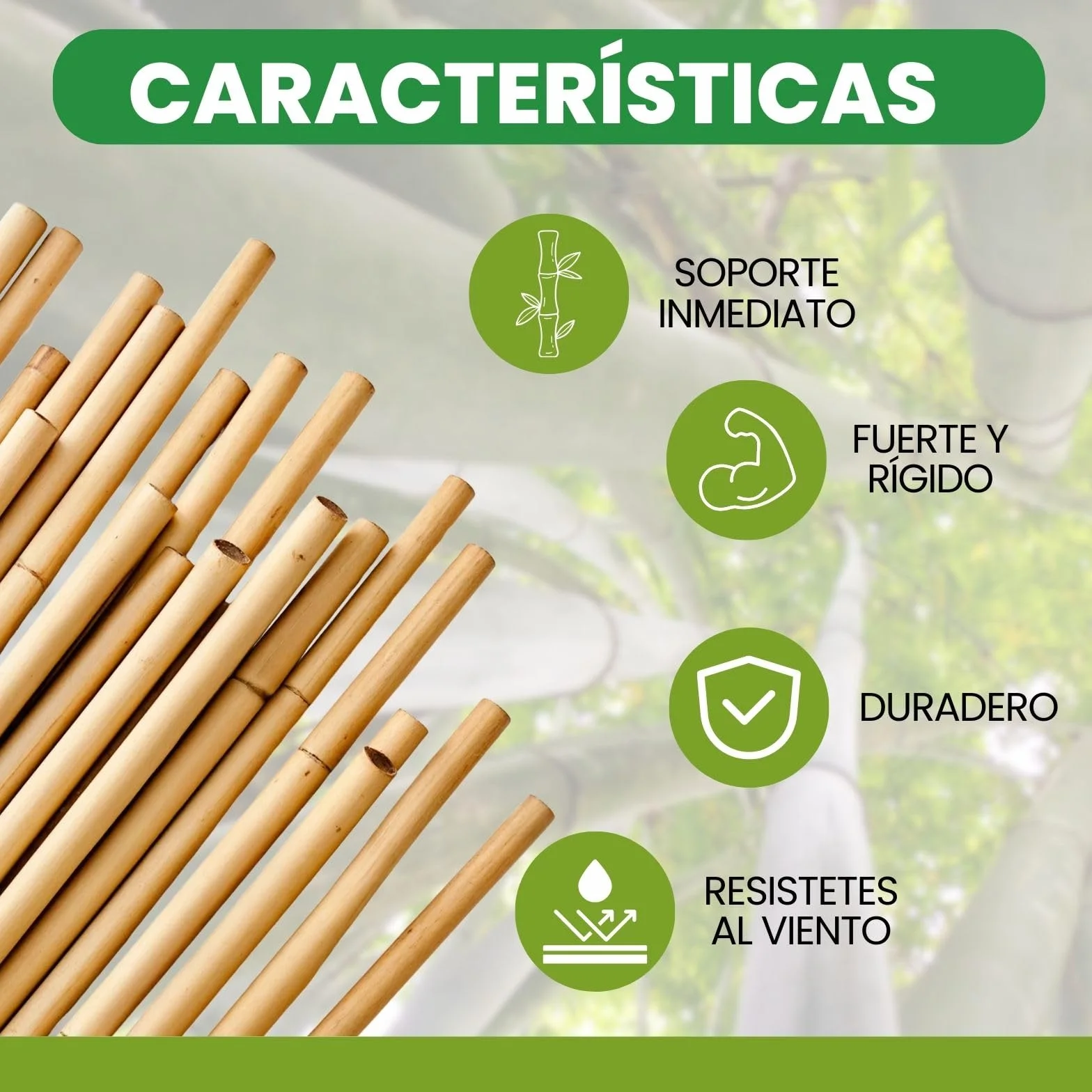 PLANTAWA Tutores de Bambú 90 cm Paquete 25 Unidades Ø 10-12 mm | Soporte para Plantas, Hortalizas, Tomates y Tomateras | Tutores para Plantas de Instalación Fácil. Cañas de bambú Resistentes