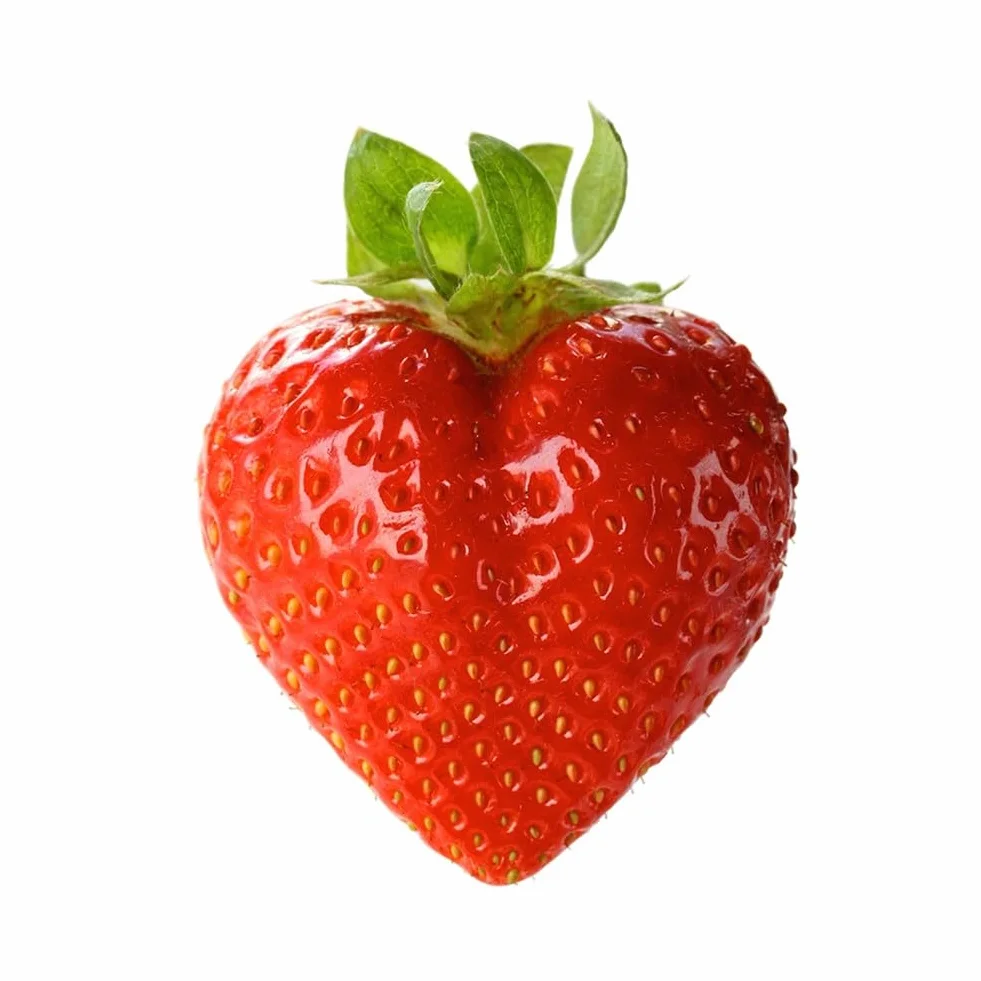 Moldeador de frutas de plástico para cultivar pera, sandía, limón, tomate, jardín, al aire libre, herramienta de formación de verduras, transparente