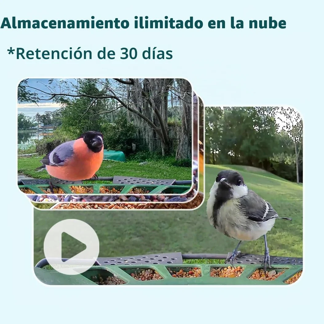 Birdfy 2 Pro - Alimentador de pájaros con 2 K Dual-Camera para observación, identificación de Especies de Aves AI, Video a cámara Lenta, visión Nocturna en Color, notificaciones en Tiempo Real