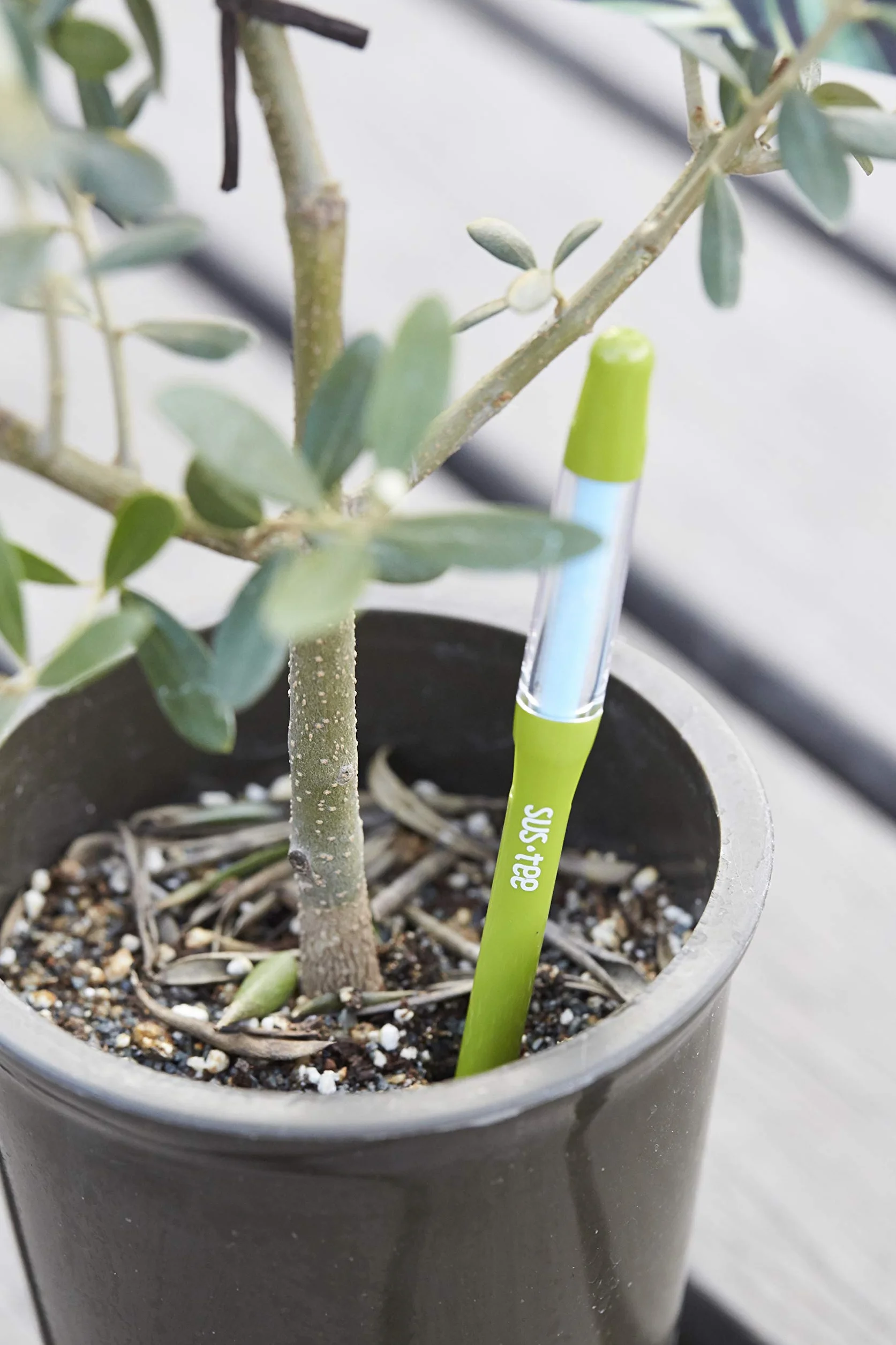 Sustee Aquameter, juego de 5, sensor de humedad del suelo para plantas (verde, mediano)