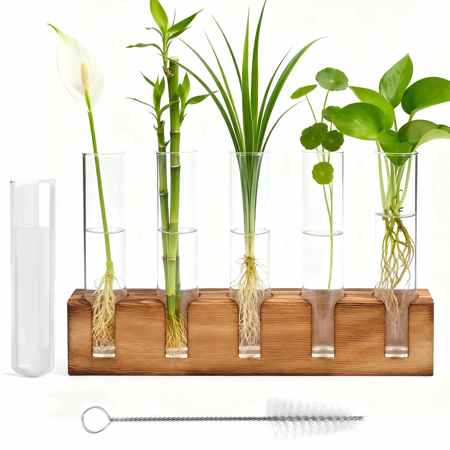 Jarrón Hidropónic Estación de Propagación Hidropónica con Soporte Madera,Estación de Propagación de Plantas con Cepillo De Limpieza para Plantas Hidropónicas, Esquejes, Oficina