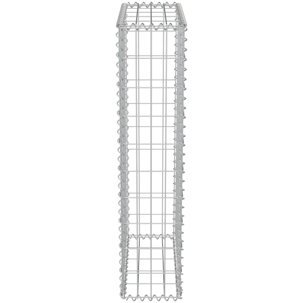 Muro de gaviones con cubiertas acero galvanizado 50x20x100 cm, Malla metálica para gallinero, Red de gallinero de acero, Alambrada de gallinero de acero resistente para proteger a tus aves de corral