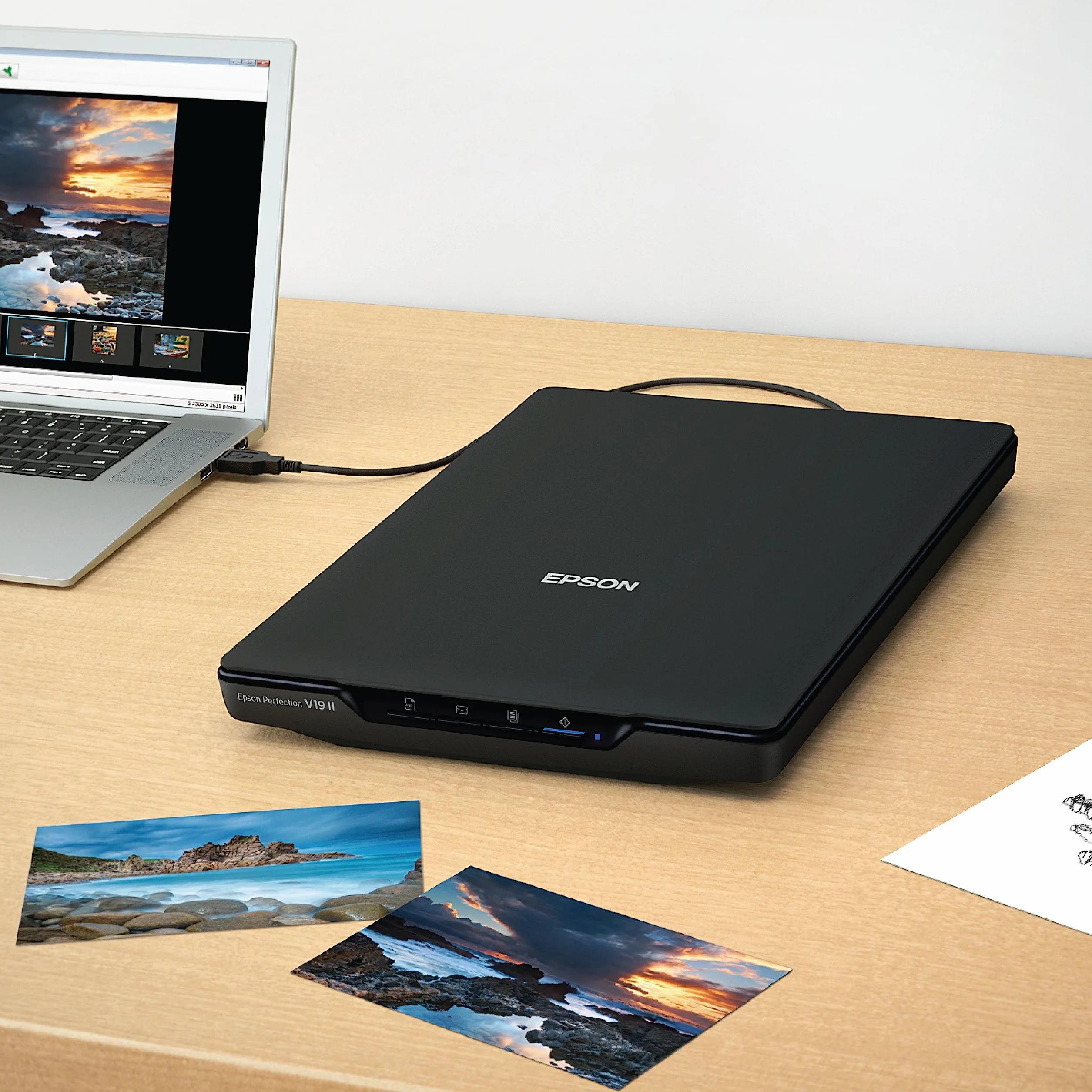 Epson Perfection V19 II Escáner Plano 4800 PPP USB