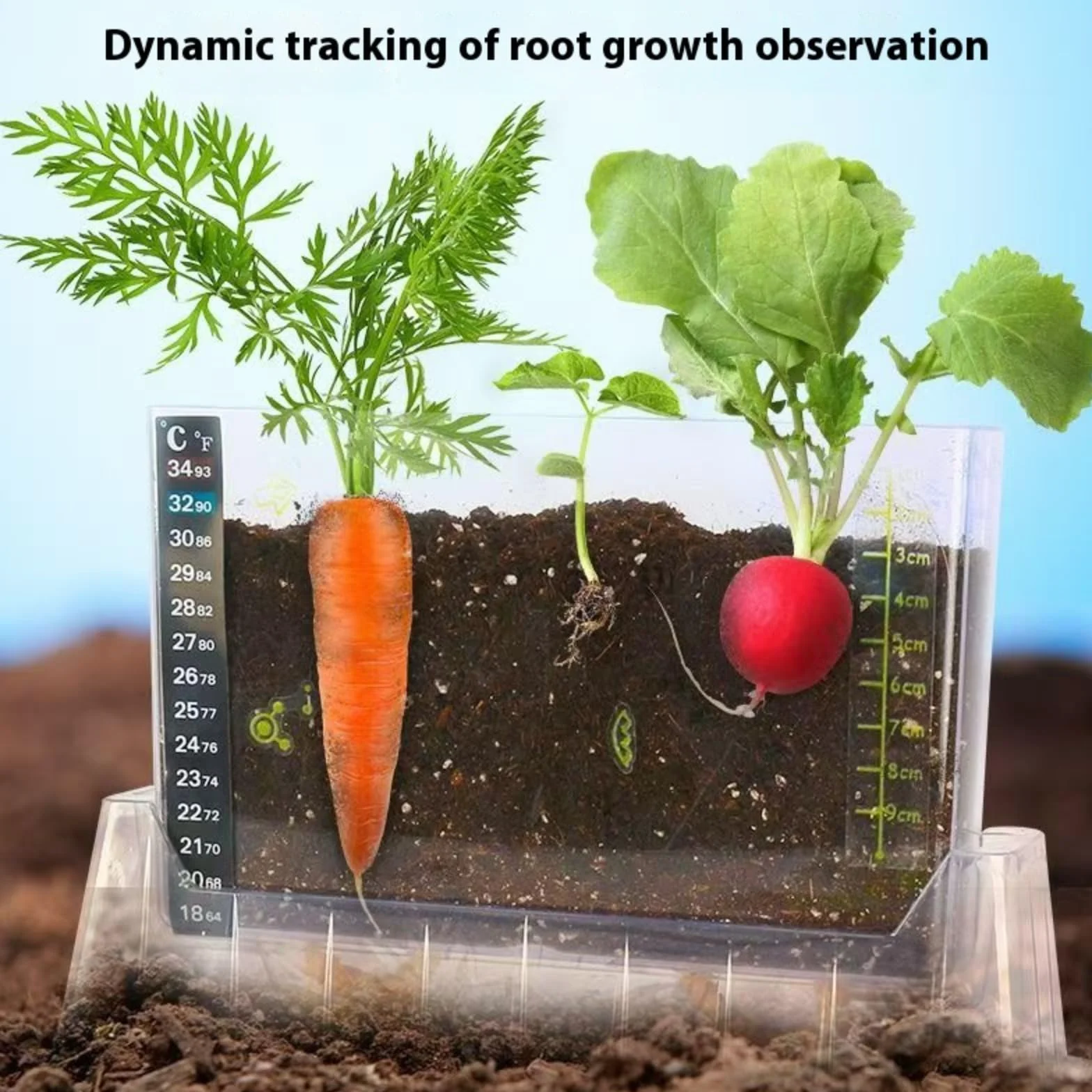 LOJAX Caja de observación de Crecimiento de Plantas Transparente, máquina de germinación de Semillas, lecho de plántulas de germinación, Bandeja de plántulas, fácil de Usar