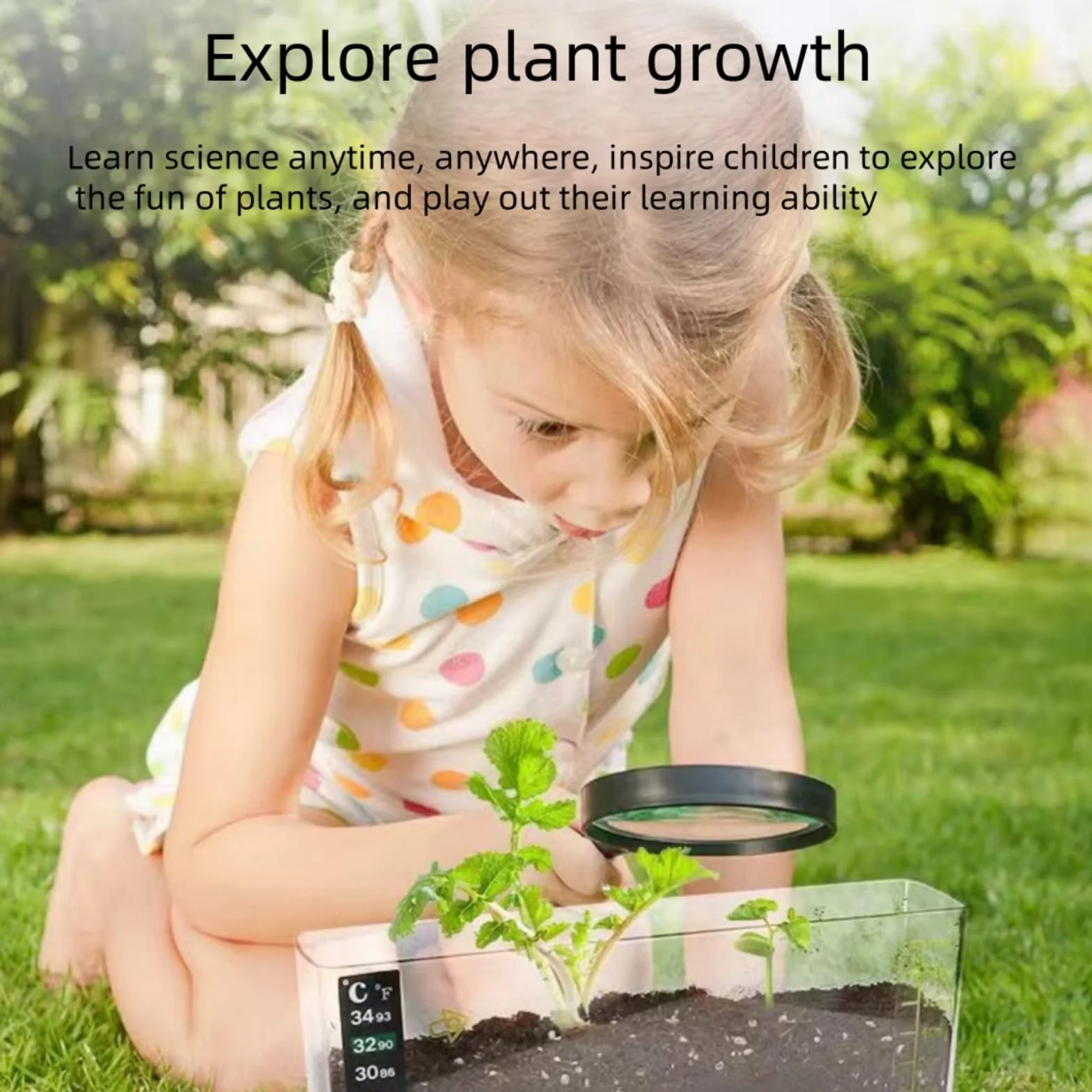 LOJAX Caja de observación de Crecimiento de Plantas Transparente, máquina de germinación de Semillas, lecho de plántulas de germinación, Bandeja de plántulas, fácil de Usar