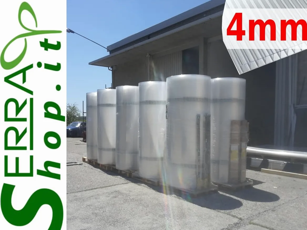 Invernadero policarbonato túnel 3 x 6 m reforzado huerto jardín plantas invernaderos Box 6 x 3 m cenador caseta Prime