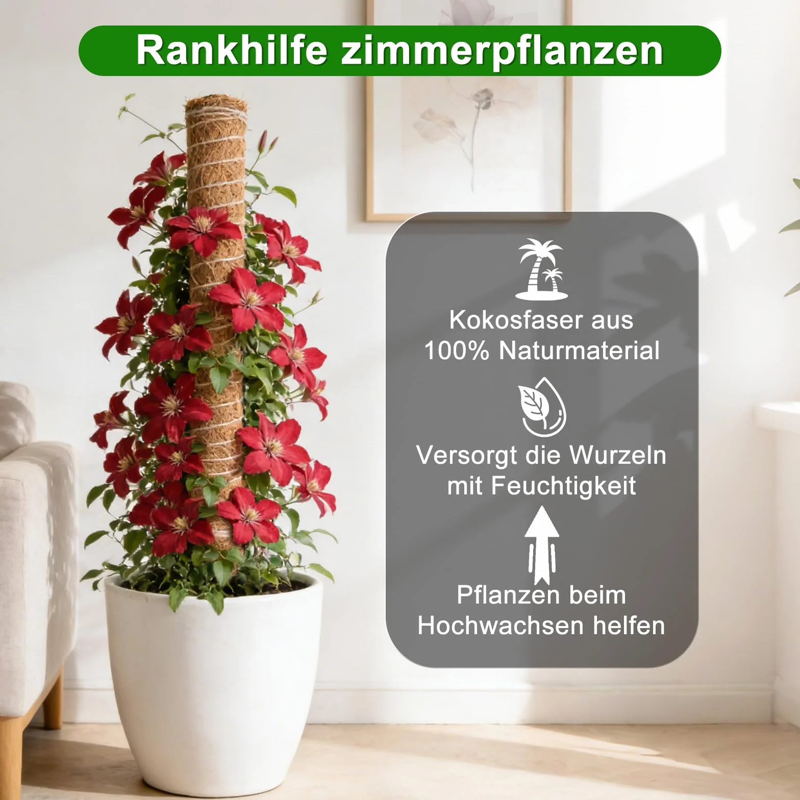 HOVIN Soporte trepador para Monstera de coco – 4 tutores extensibles de musgo, 40 cm – Para plantas trepadoras en interiores y jardines