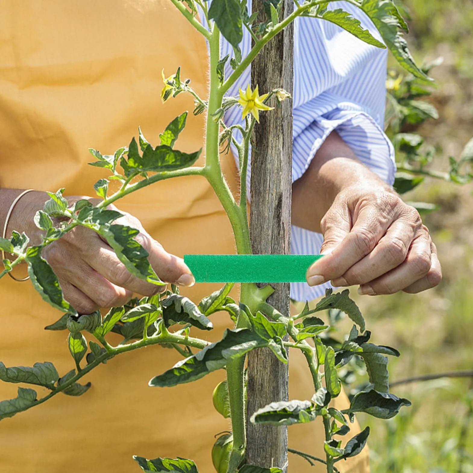20m Cinta para Plantas, Reutilizable, Ayuda para Escalar Plantas
