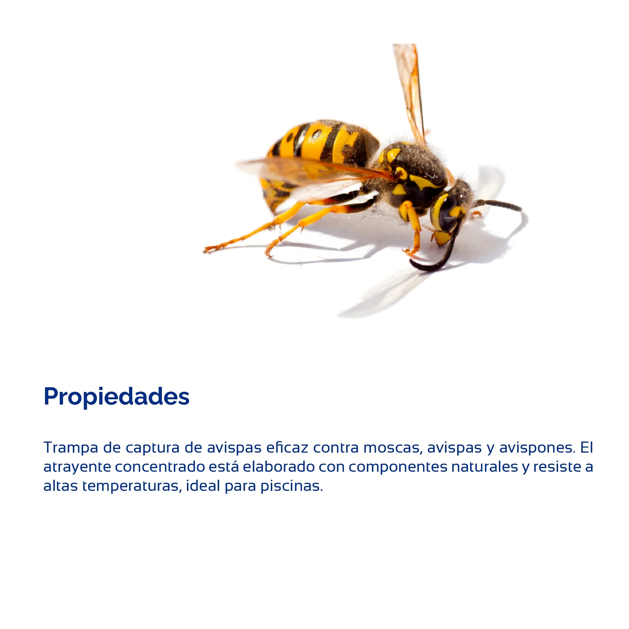 Bioplagen Wasptrap Trampa Avispas Biowasp Atrayente concentrado 500 ml