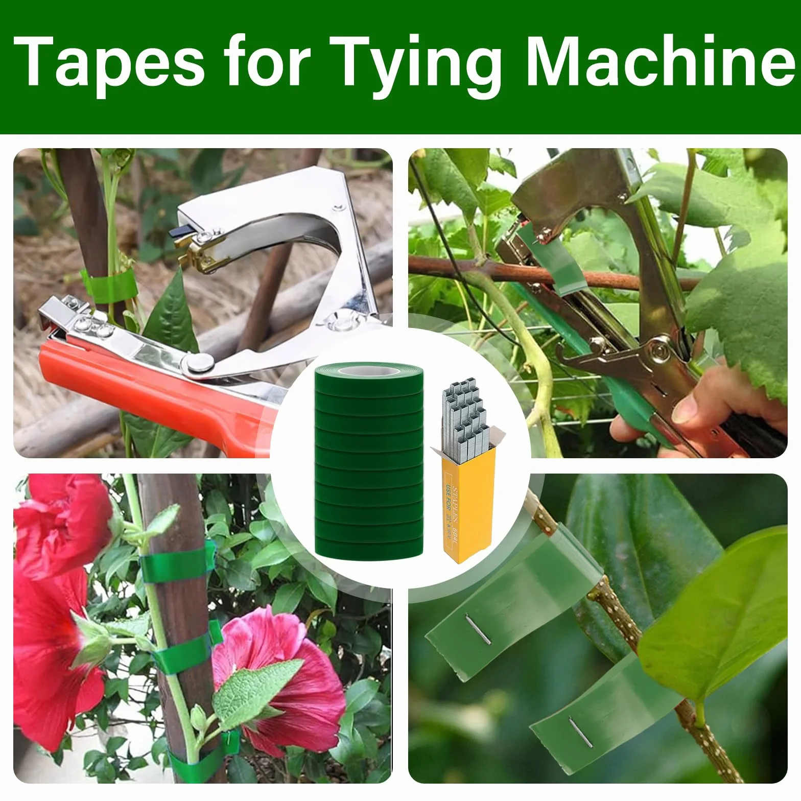 TOGETDREAM 10 Rollos de Cinta Jardín y 10000pcs Grapas para Uvas, Herramienta de Cinta de Jardín para Atar Ramas de Plantas, Paquete Maquina para Atar, Atadora de Tomates, Herramientas Jardineria