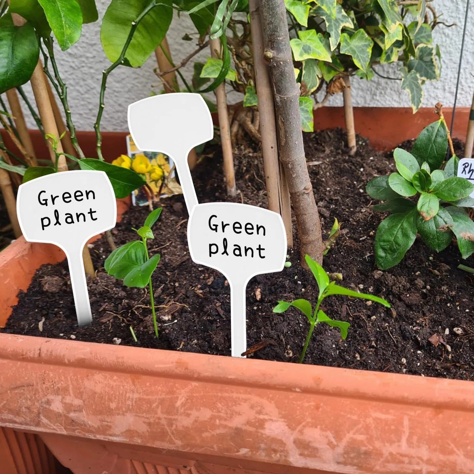 KINGLAKE 50 piezas 28.5cm etiquetas de plástico para plantas de exterior de altura etiquetas para huertos, blanco