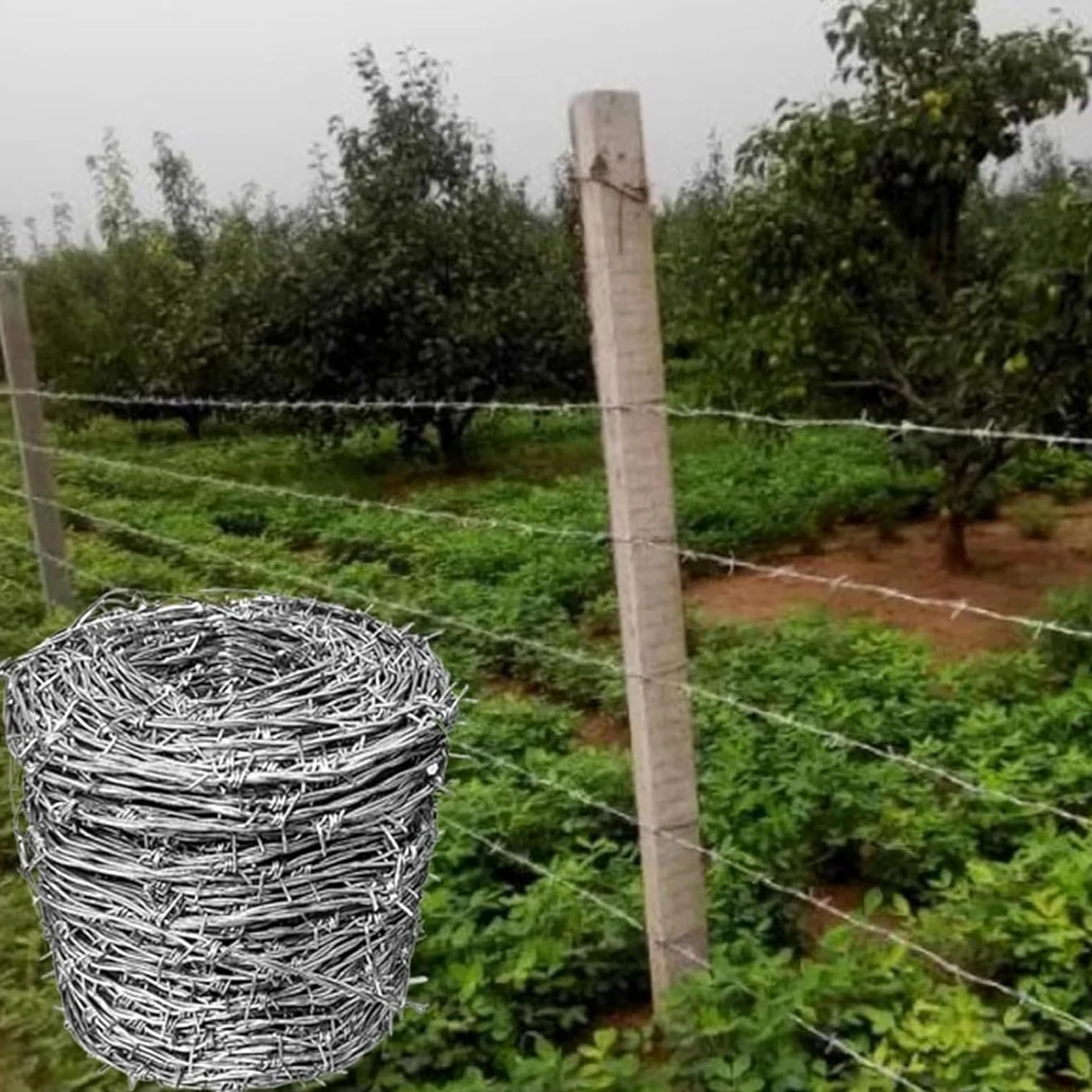 Alambre De Espino, Rollo De Alambre De Púas, 4 Puntas Acero Galvanizado Alambre De Púas Multiusos Rollo De Alambre Práctico y Duradero para Proteger Su Jardín O Patio (200M)