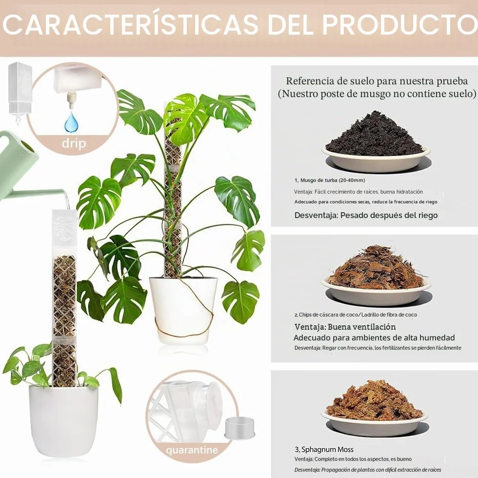 Moss Pole,6 Piezas Tutores para Plantas Trepadoras,Tutor Monstera,6 Tutor Musgo Plastique, 4 Alfileres, 4 Botellas de Goteo, 4 Diafragmas de Reproducción, 100 Bridas,para Hiedra, Monstera, Pothos