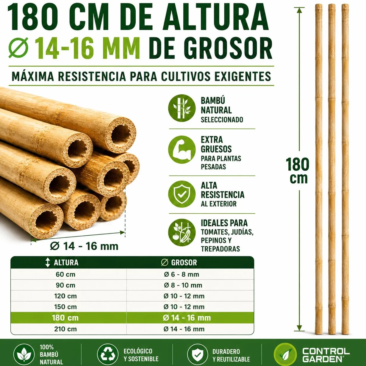 CONTROL GARDEN 30 Tutores de Bambu para Plantas 180 cm Grosor 14-16 cm | Cañas Estacas Natural para Tomateras, Enredaderas y Sujetar Cultivos | Varas Resistentes Huerto y Jardin