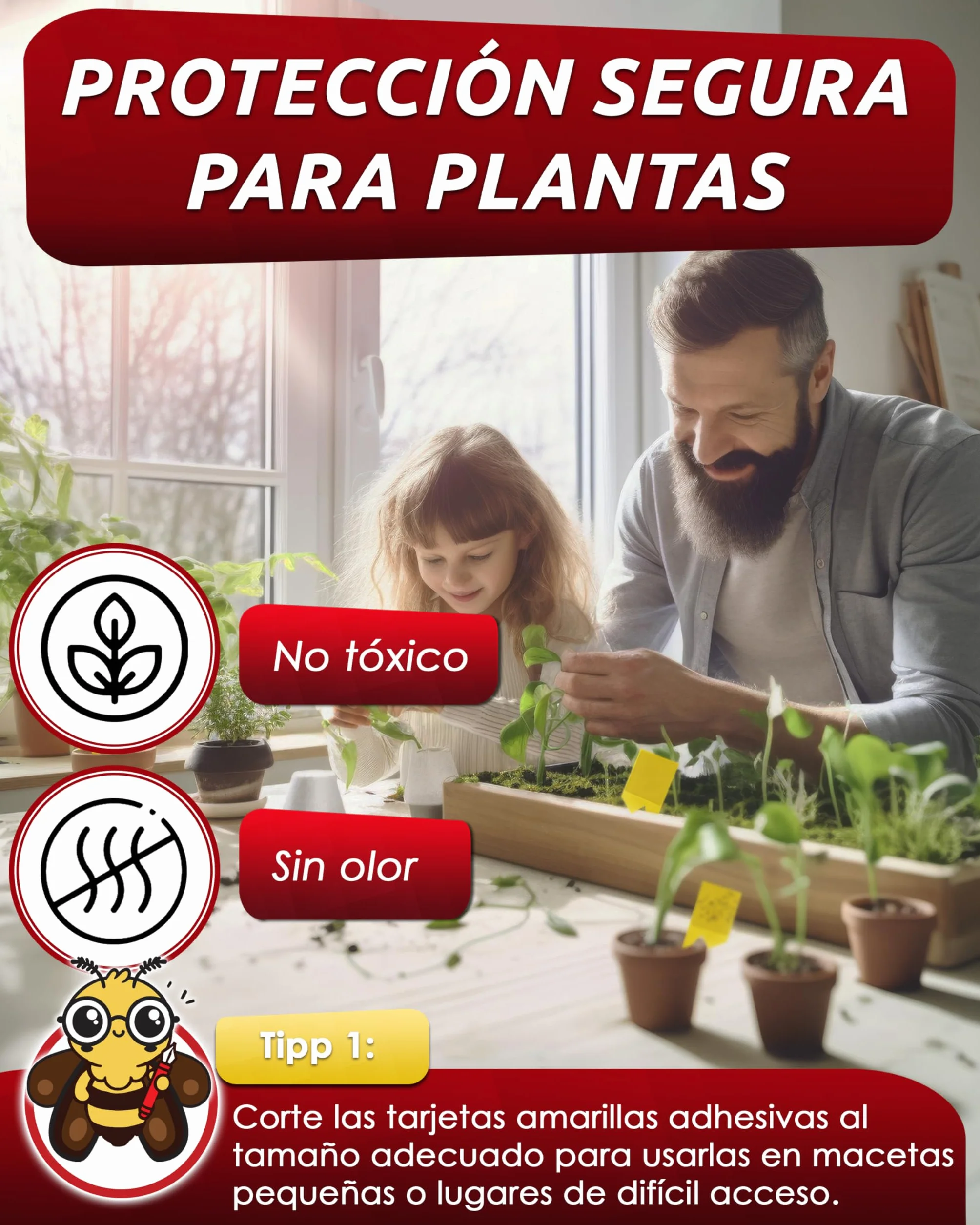 PIC Trampas Cromaticas Amarillas contra para Mosquito del Mantillo - 60x Pegatinas Trampas para Mosquitos, Eficaz Trampa Mosquitos No Tóxica, Ideal para Plantas De Interior contra Moscas pequeños