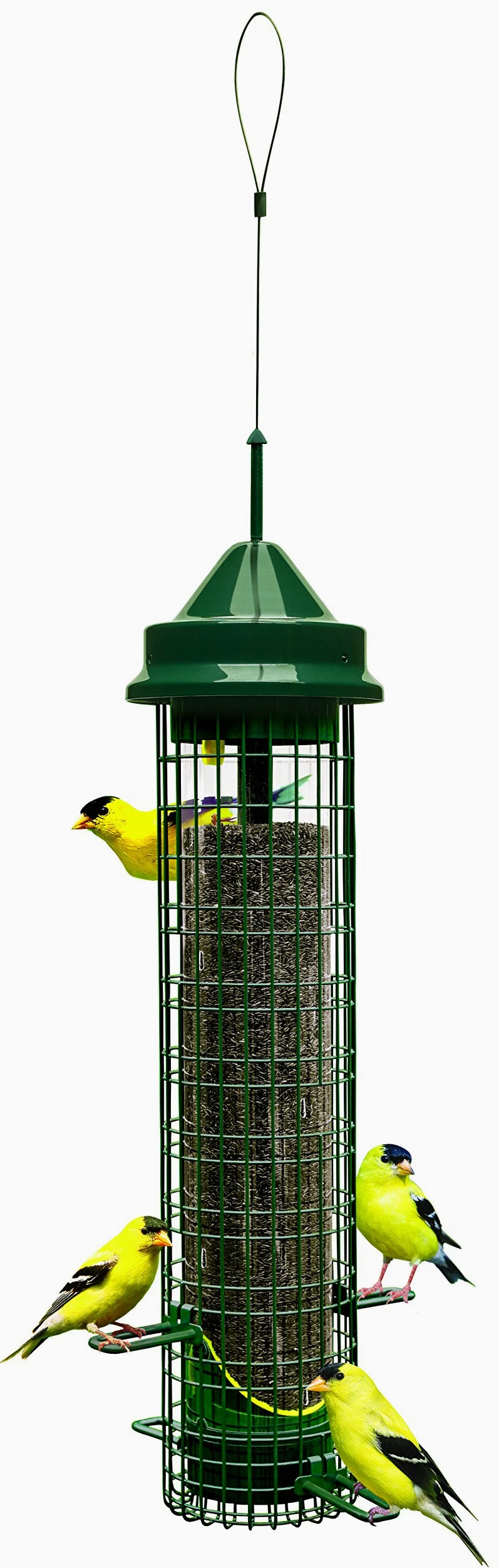 Squirrel Buster Comedero para pájaros a Prueba de Ardillas con 4 Postes de Metal y 8 Aberturas de alimentación, Capacidad de Semillas de Cardo de 2.5 Libras