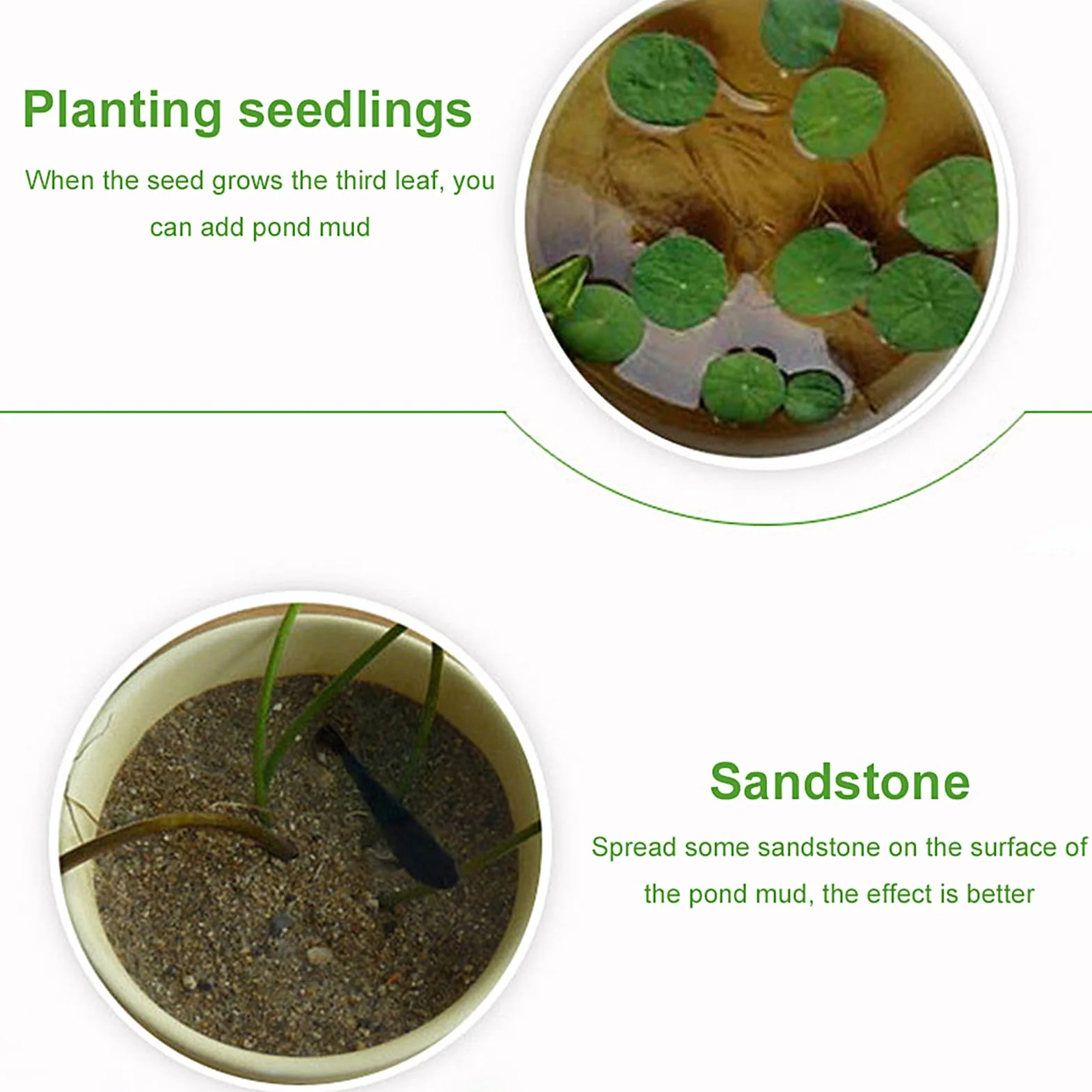 Tierra de estanque para plantas acuáticas, lodo de loto natural, lodo de estanque de loto, tierra para plantas de estanque, compost de agua, para lotos, suministros de jardín