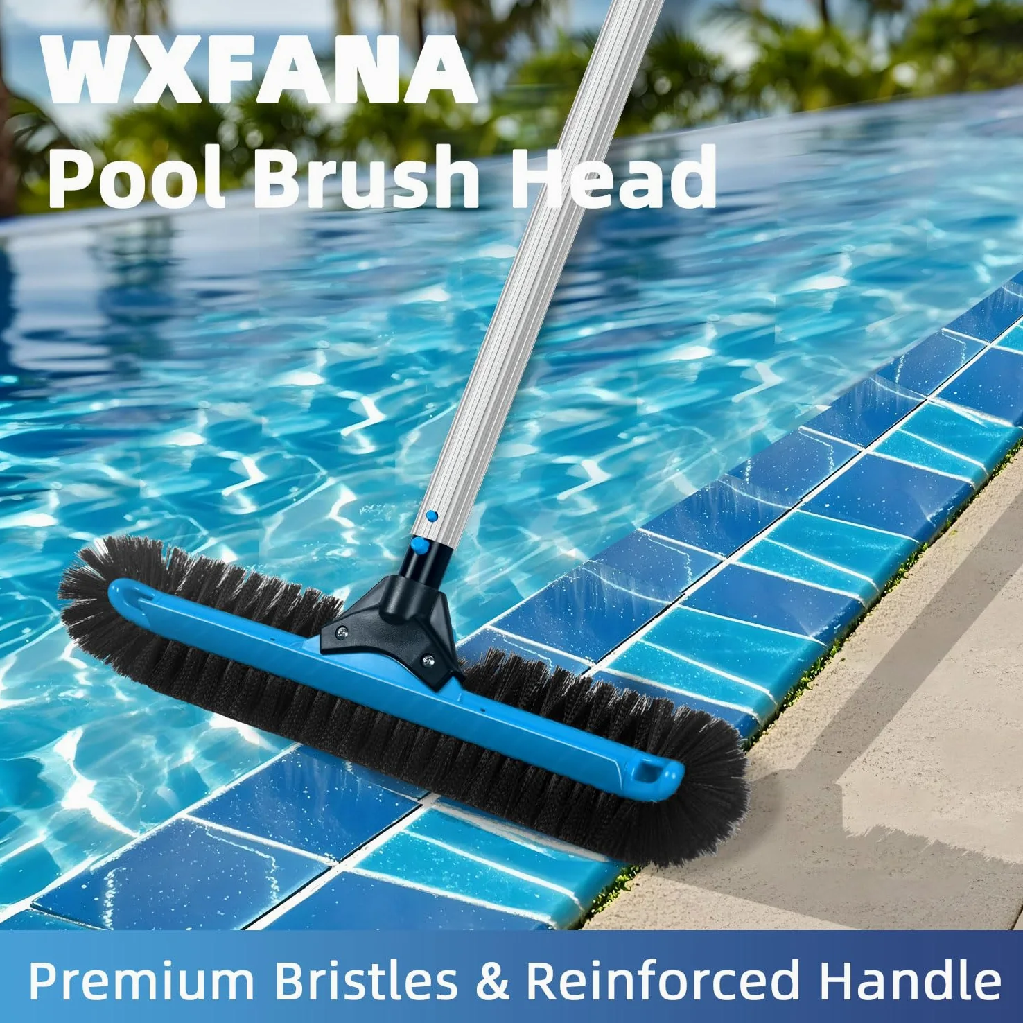 Cabezal de cepillo de piscina de 20 pulgadas de ancho, cepillo de limpieza de piscina resistente con cerdas de 12 filas, cepillos de piscina enterrados/superiores con extremos curvos, azul