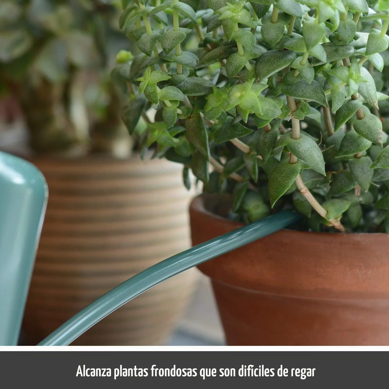 CKB Ltd® Regadera de interior pequeña de 1,1 L, acero galvanizado con recubrimiento en polvo de color verde oscuro, para plantas de interior, diseño contemporáneo de metal con boquilla estrecha y