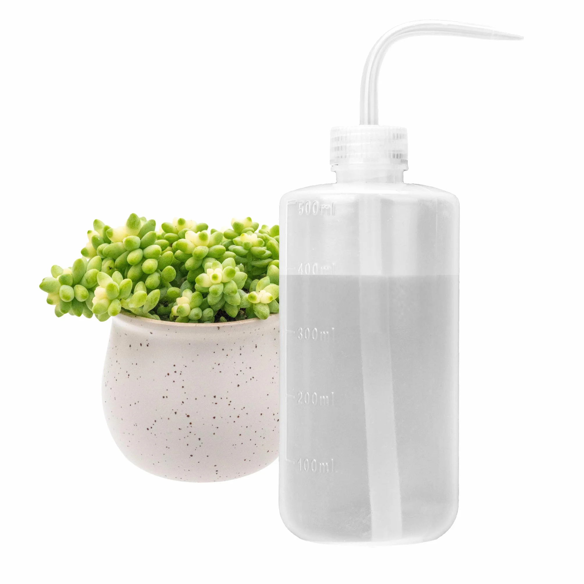 Botella de riego de 500 ml con junta tórica a prueba de fugas para plantas de interior suculentas cactus plástico apriete agua boquilla larga curvada boca regadera Bonsai Terrarium Orchids Seedling