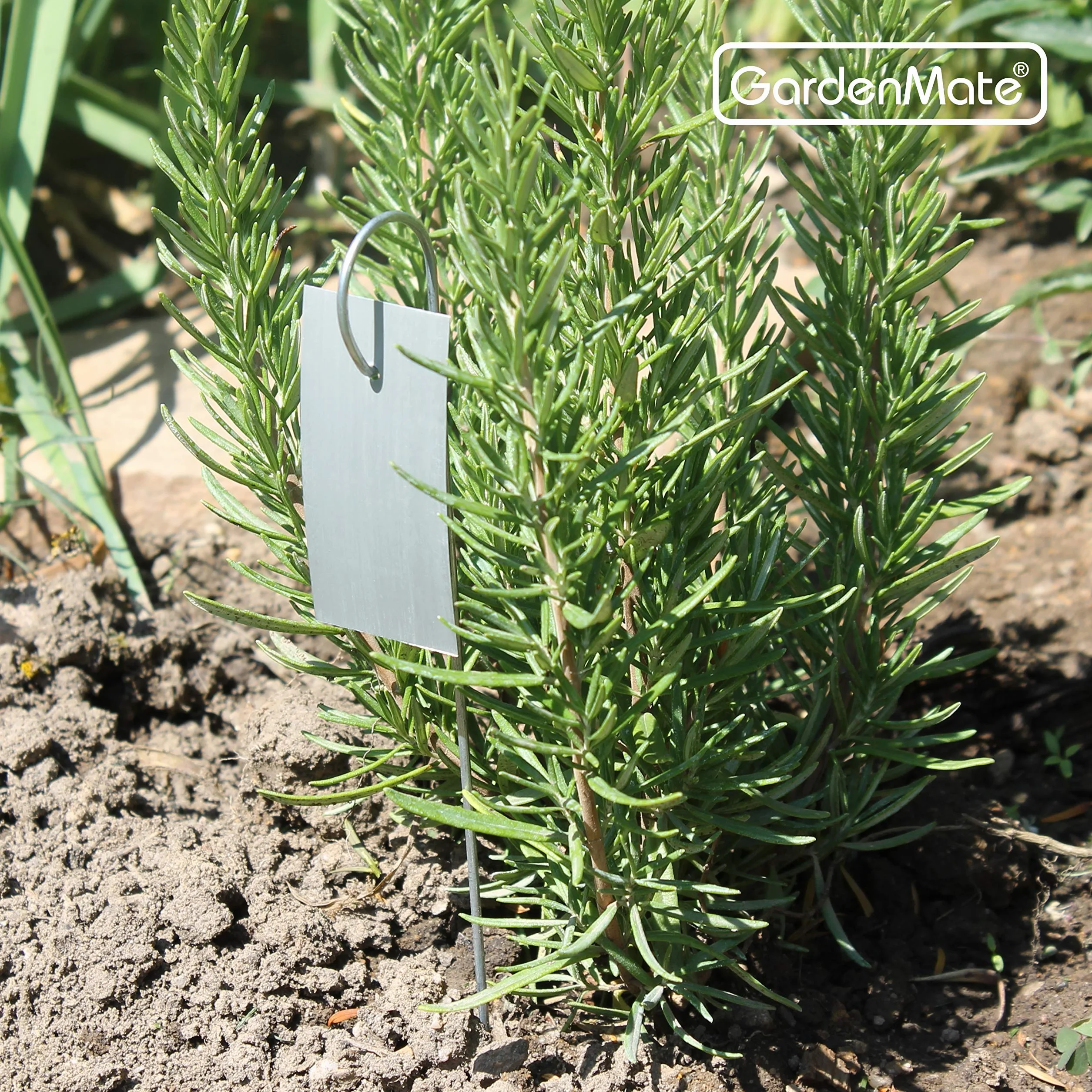 GardenMate - Etiquetas para jardín (con Gancho metálico, 25 Unidades)