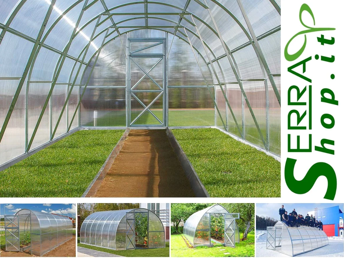 Invernadero policarbonato túnel 3 x 6 m reforzado huerto jardín plantas invernaderos Box 6 x 3 m cenador caseta Prime