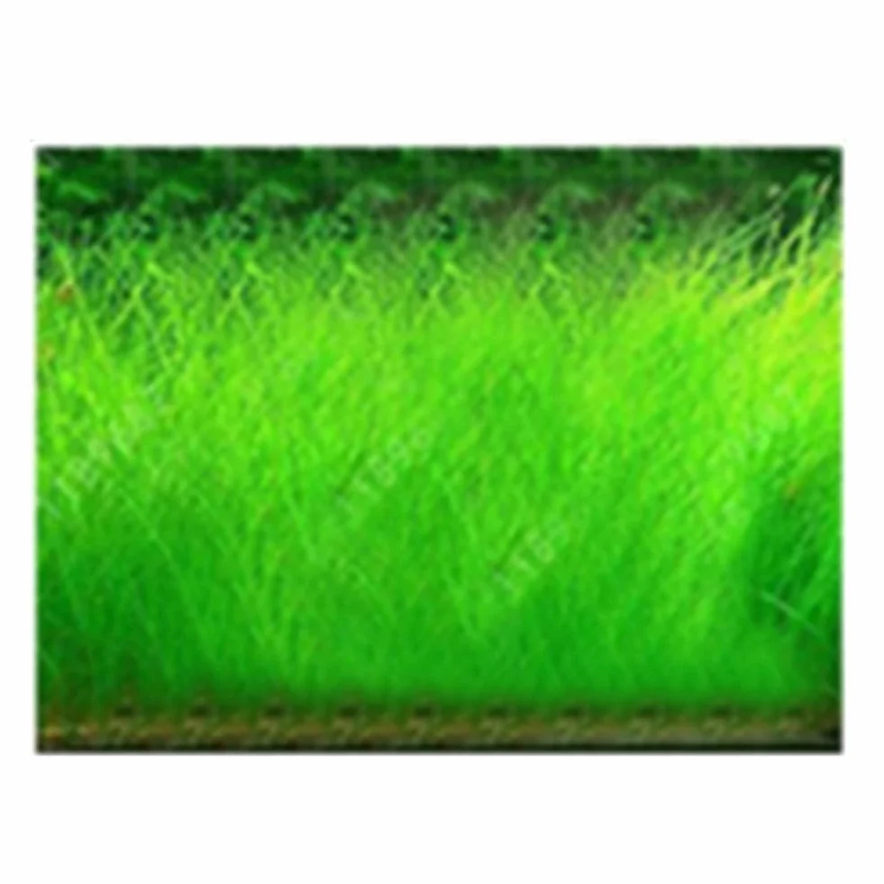 100 Unids Acuario Agua Hierba Semillas Pecera Hidrófila Planta Paisaje Decoración Flor Fruta Árbol Vegetal Semillas Grandes semillas peludas 100pcs