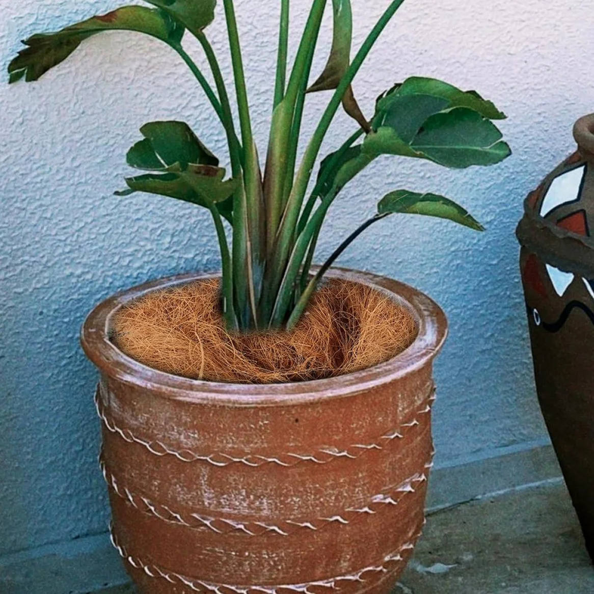 Fibra Natural para Macetas 3 Bolsas 300g 100g Cada Una Revestimiento Orgánico para Plantas y Hortalizas Alta Aireación y Retención de Humedad Cubierta Transpirable para