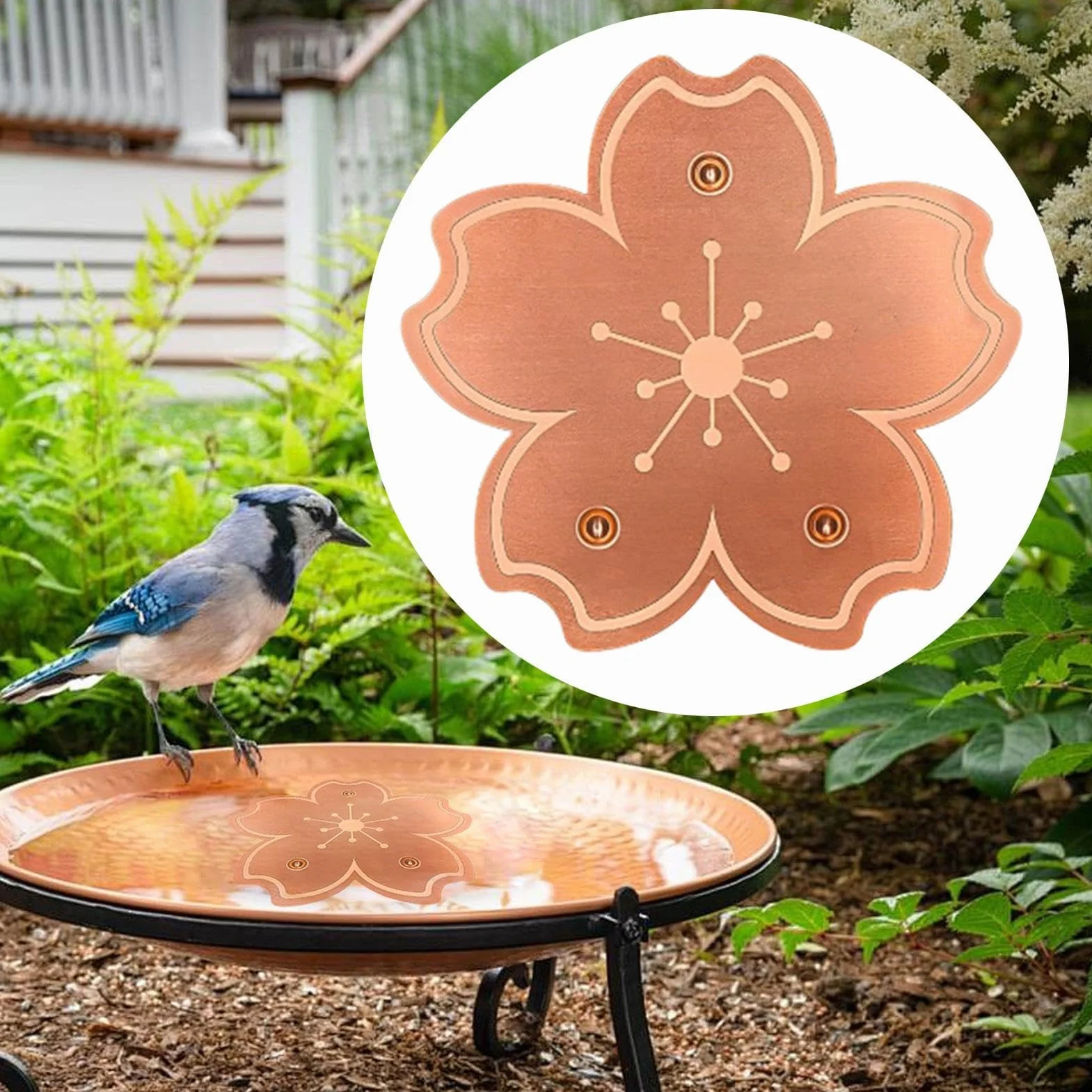 Disco Limpiador en Cobre para Bebedero de pájaros Plato Purificador Estable | Disco limpiador en cobre con soporte triple para bebedero Agua Y Baño En Exteriores Jardín P
